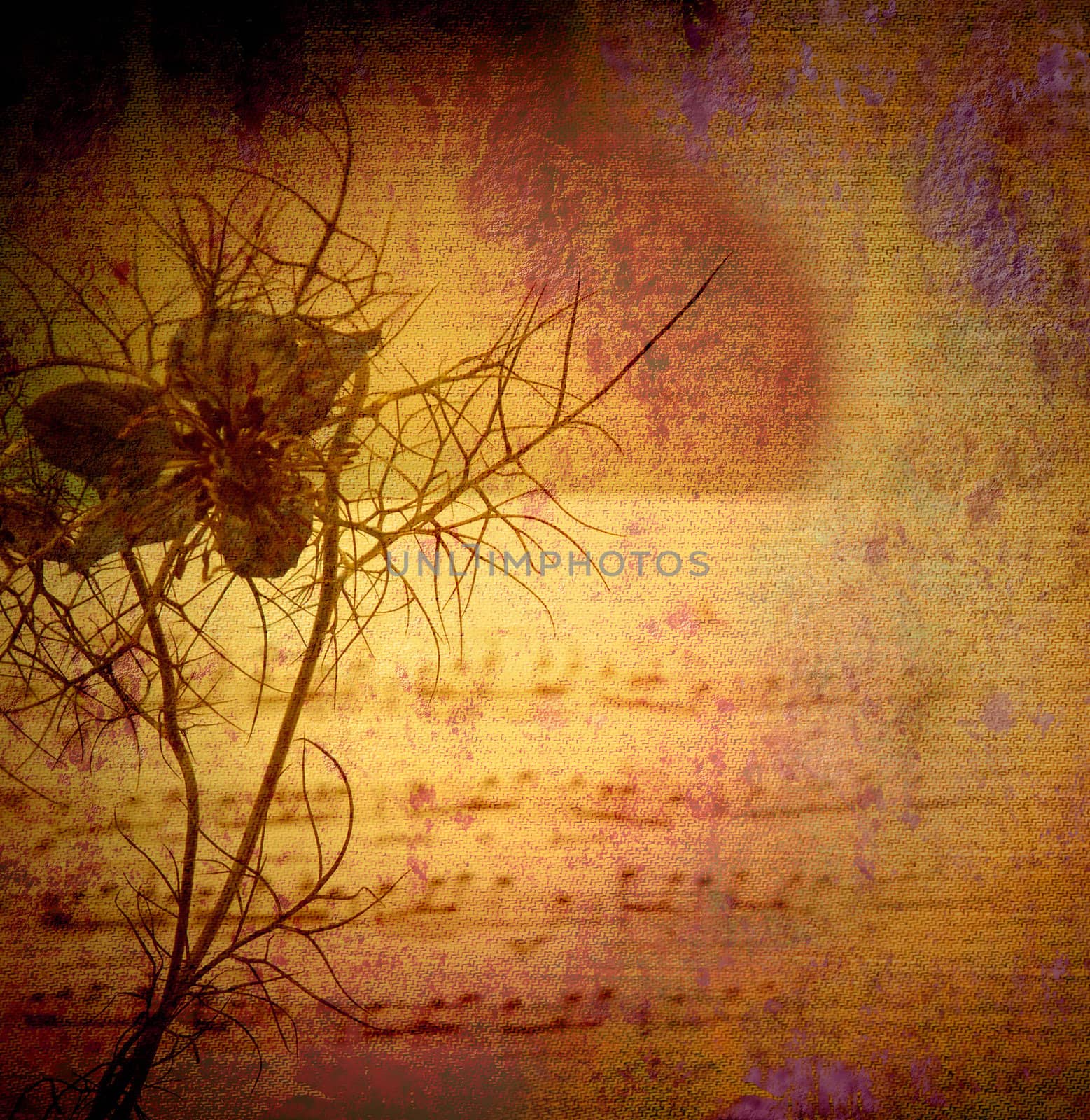 vintage background canvas textured, flower and score