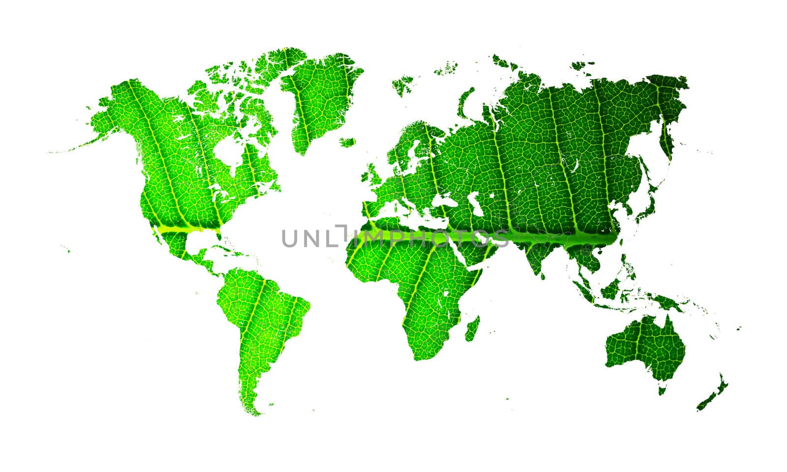 world map with leaf texture