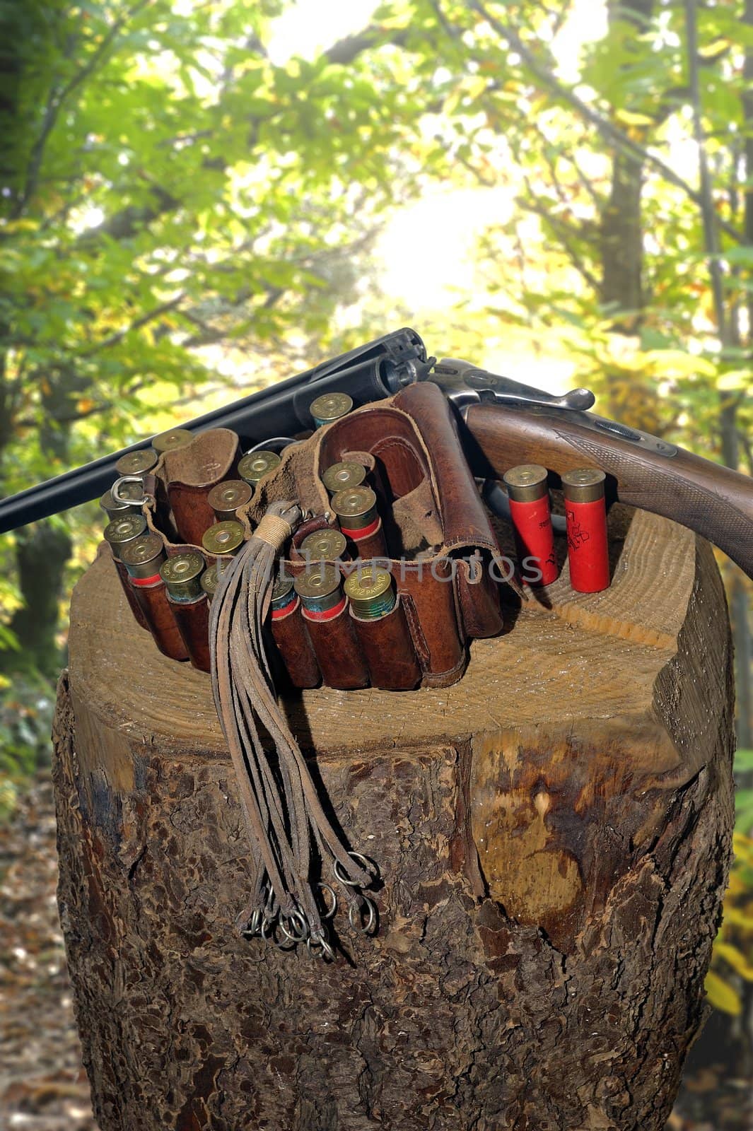 shotgun and its cartridges. Still life representing hunting.
