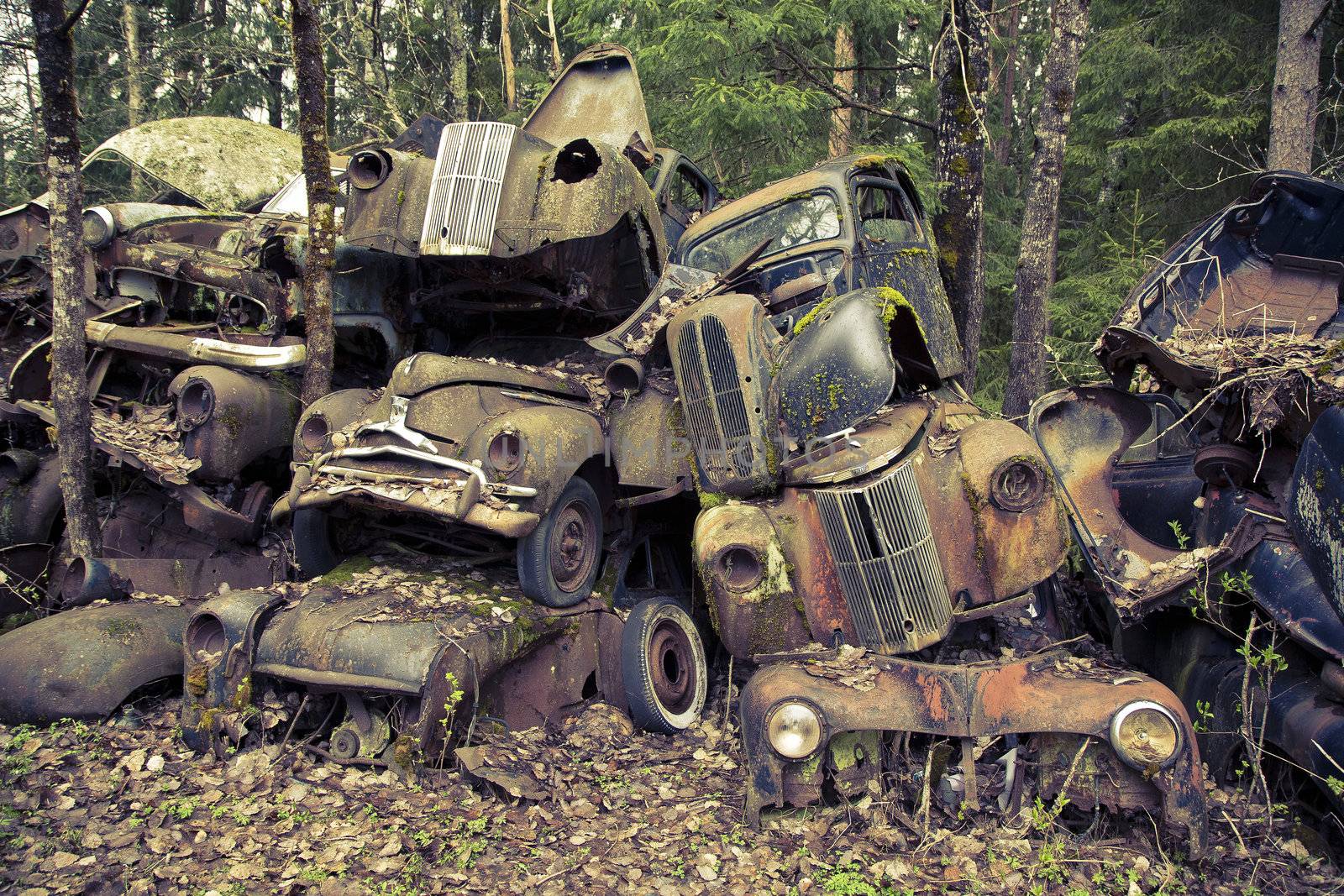 Heap of abandoned scrap cars left in the nature near the Norwegian border - Sweden. From the series Scrap in the wood. Cross processed to reflect time and age.