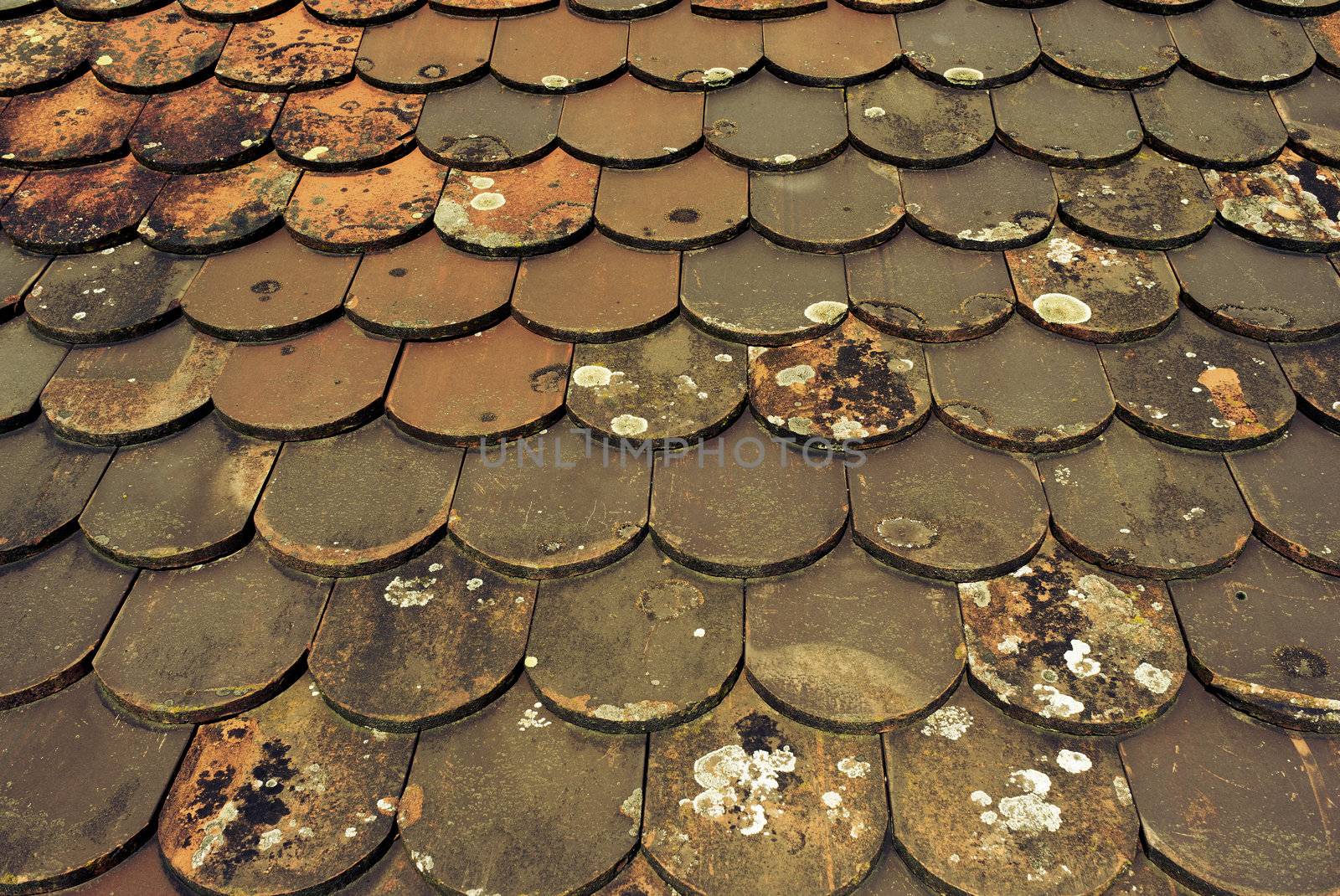 Detail of a beautiful old German village tile roof. Useful as a background.