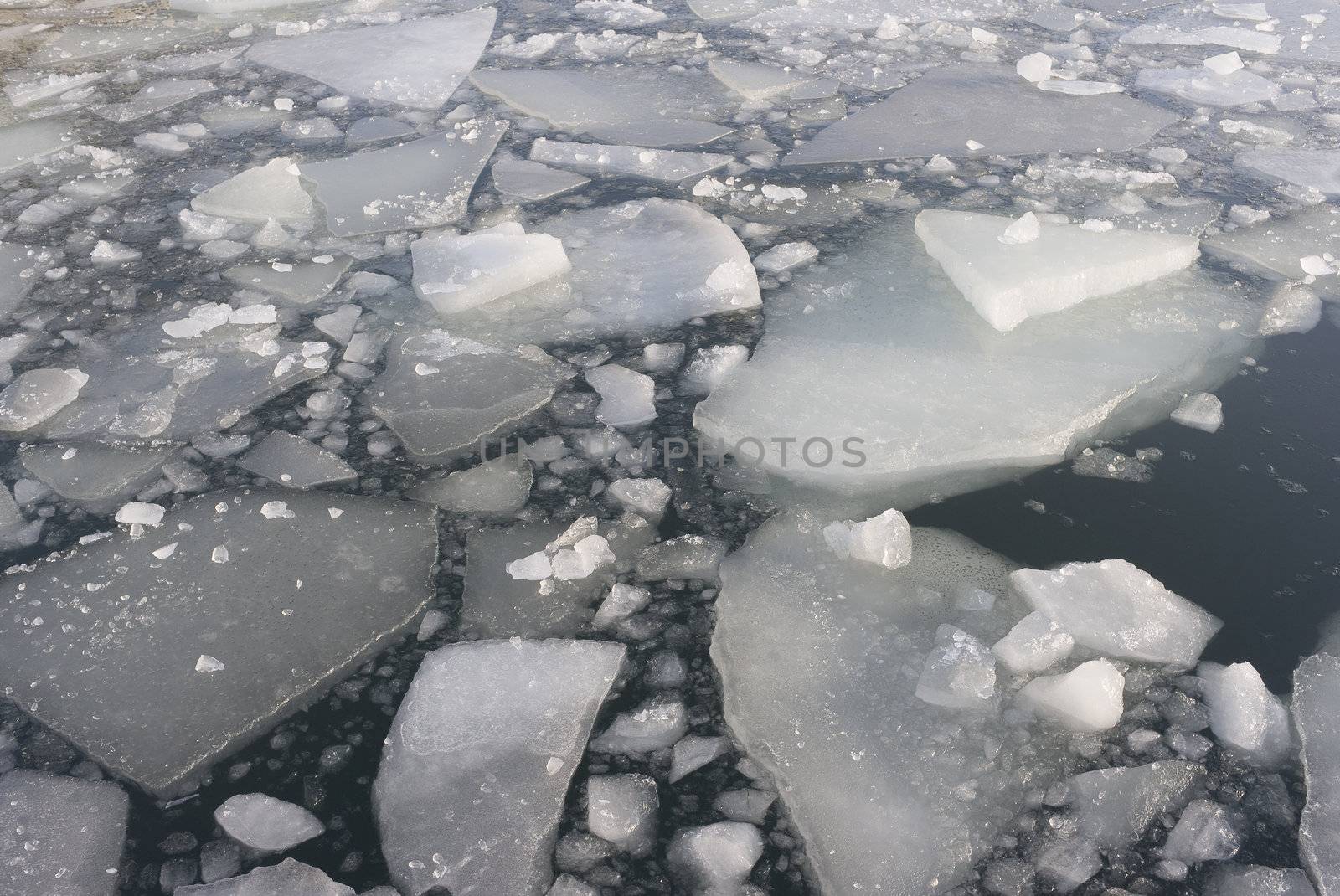 Pack ice in the harbour of Nyborg, Denmark in january.