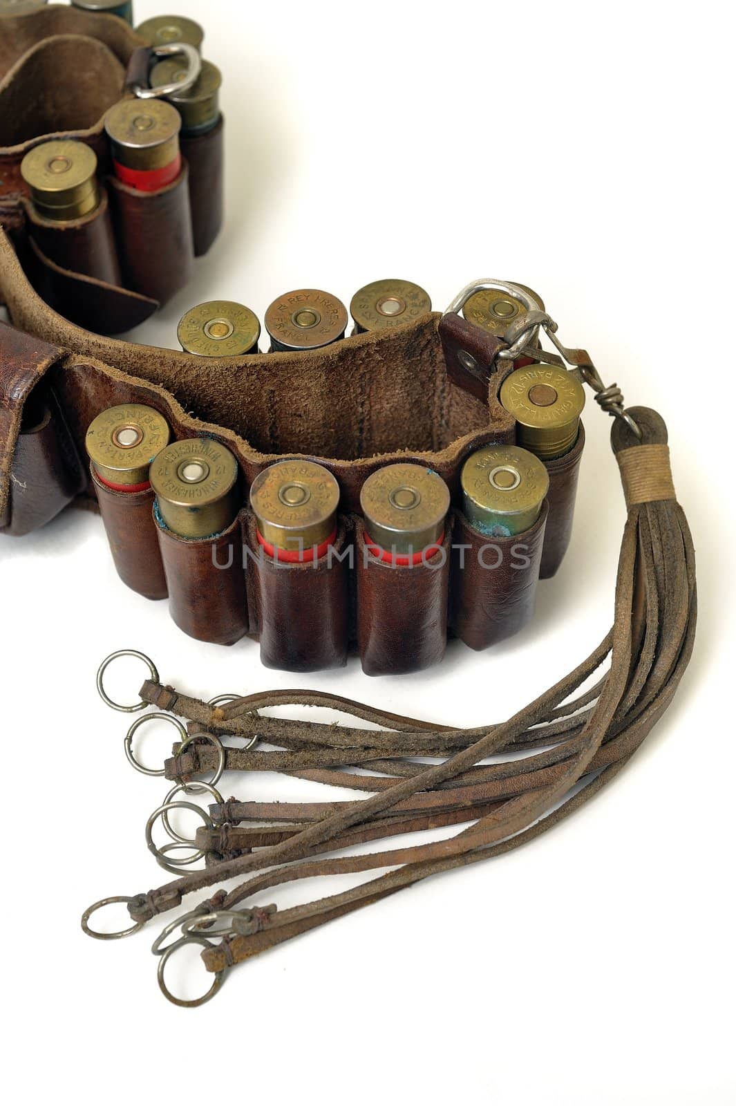 shotgun and its cartridges. Still life representing hunting.