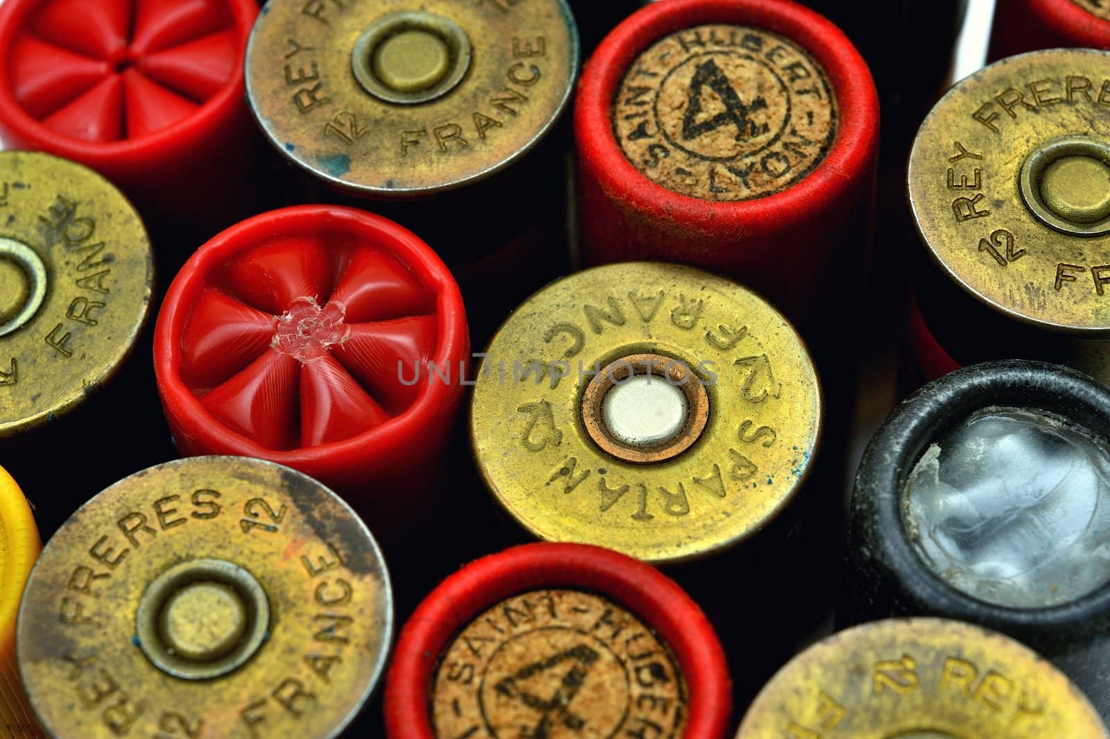 shotgun and its cartridges. Still life representing hunting.