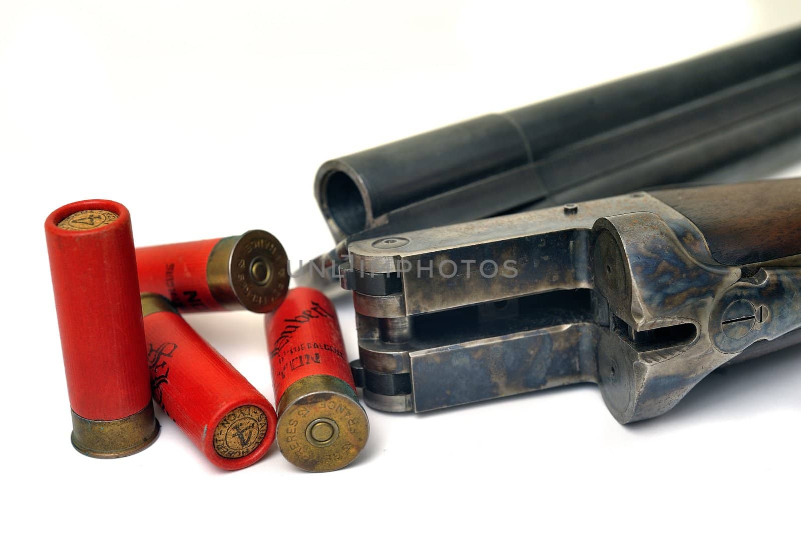 shotgun and its cartridges. Still life representing hunting.