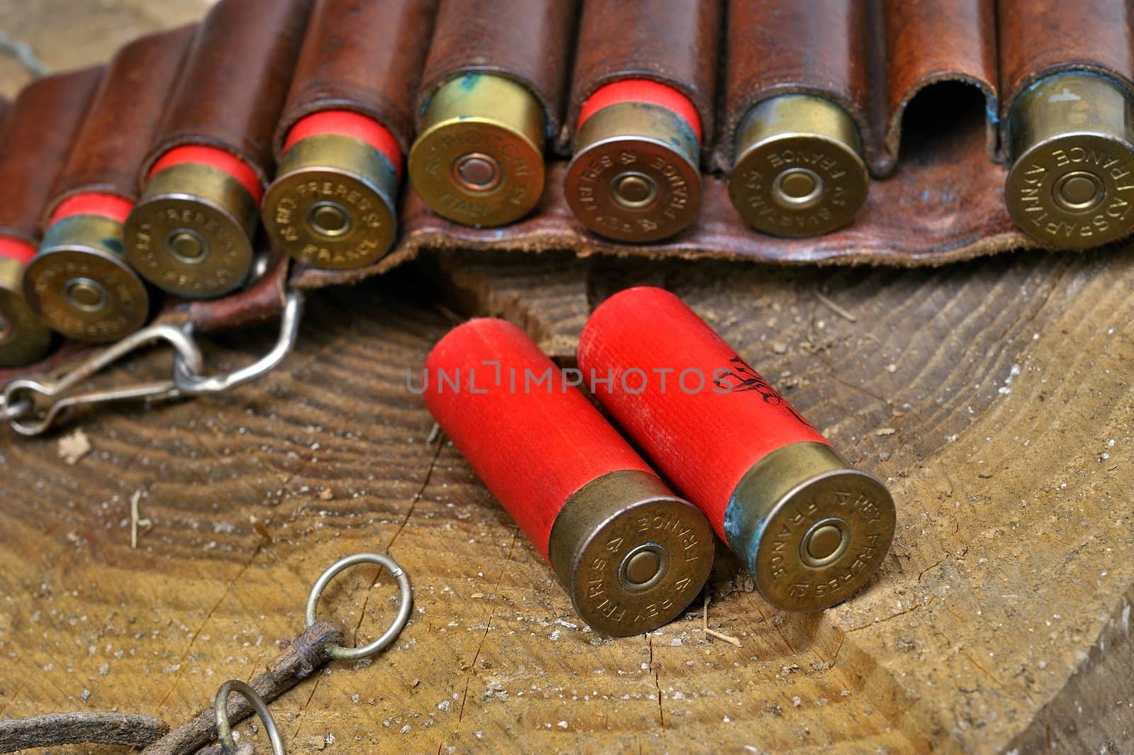 shotgun and its cartridges. Still life representing hunting.