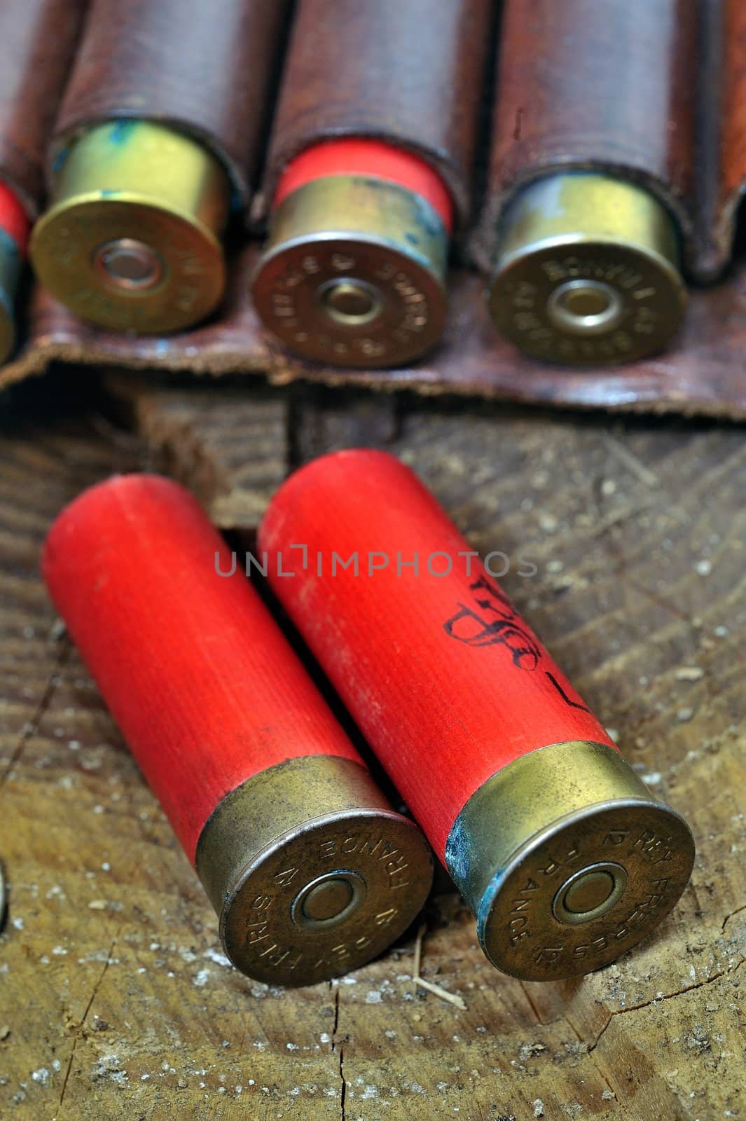 shotgun and its cartridges. Still life representing hunting.