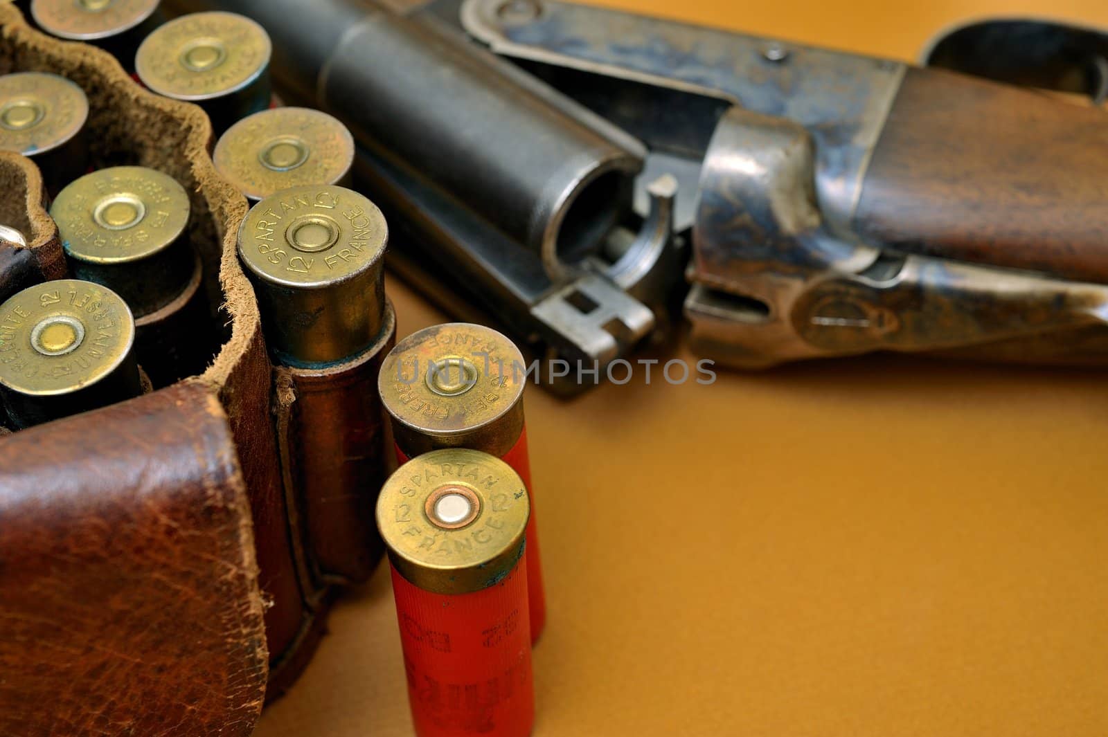 shotgun and its cartridges. Still life representing hunting.