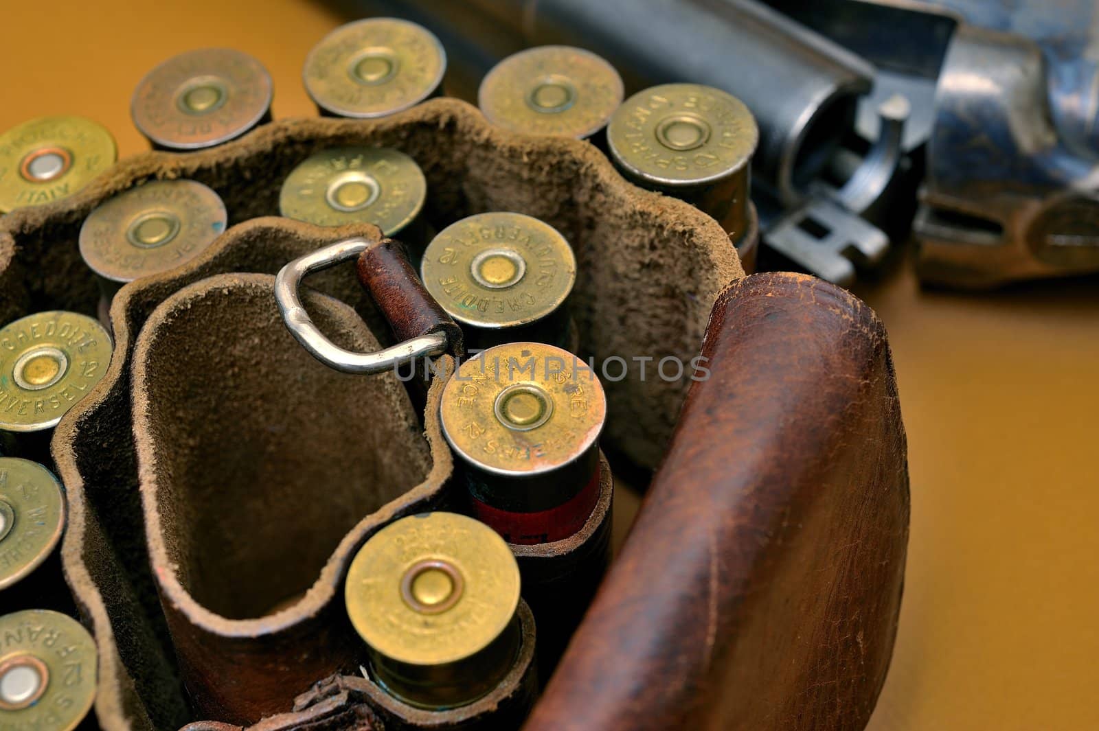 shotgun and its cartridges. Still life representing hunting.