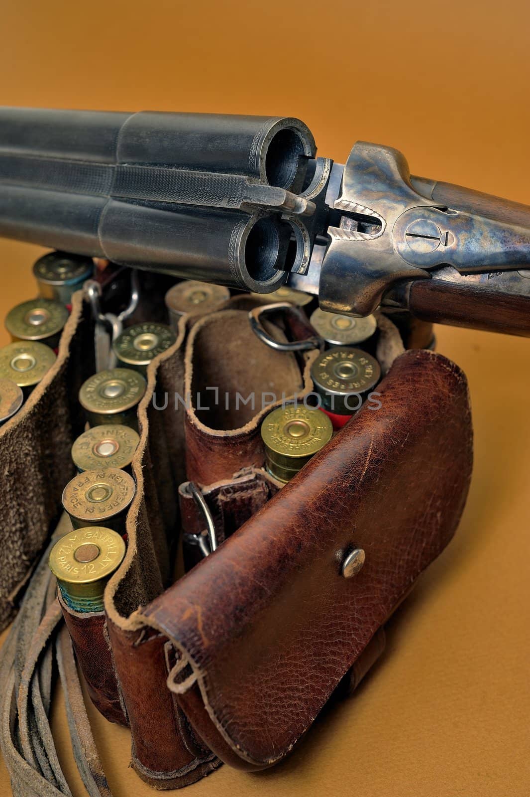 shotgun and its cartridges. Still life representing hunting.