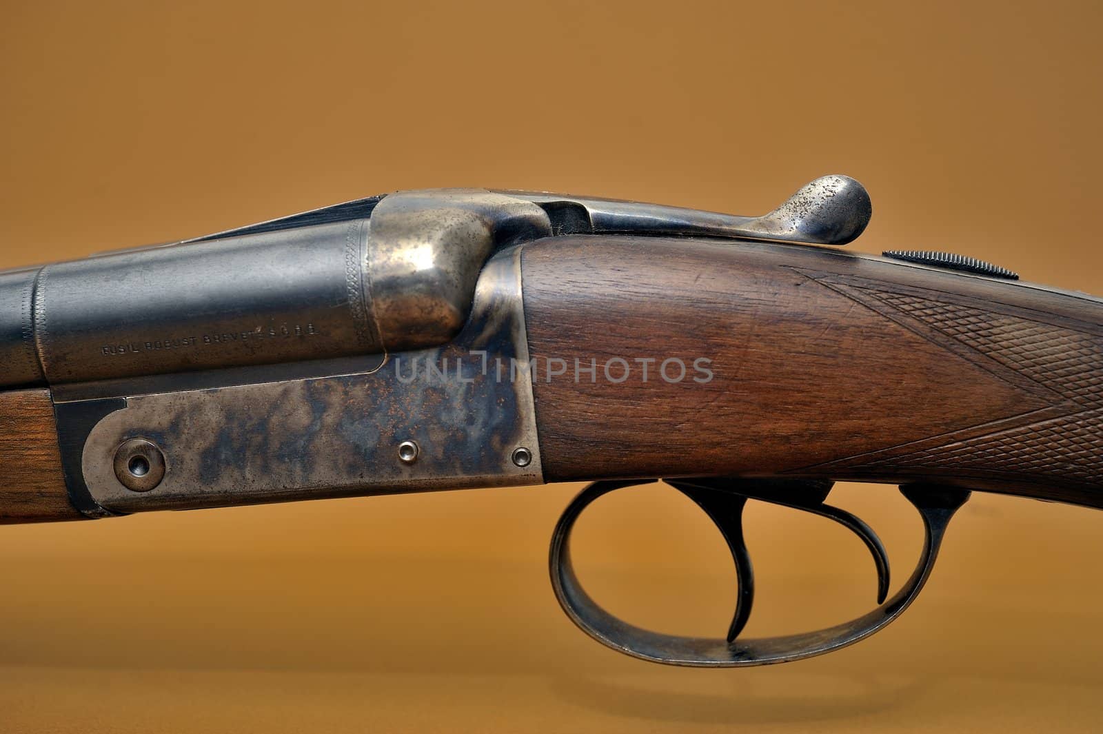 shotgun and its cartridges. Still life representing hunting.