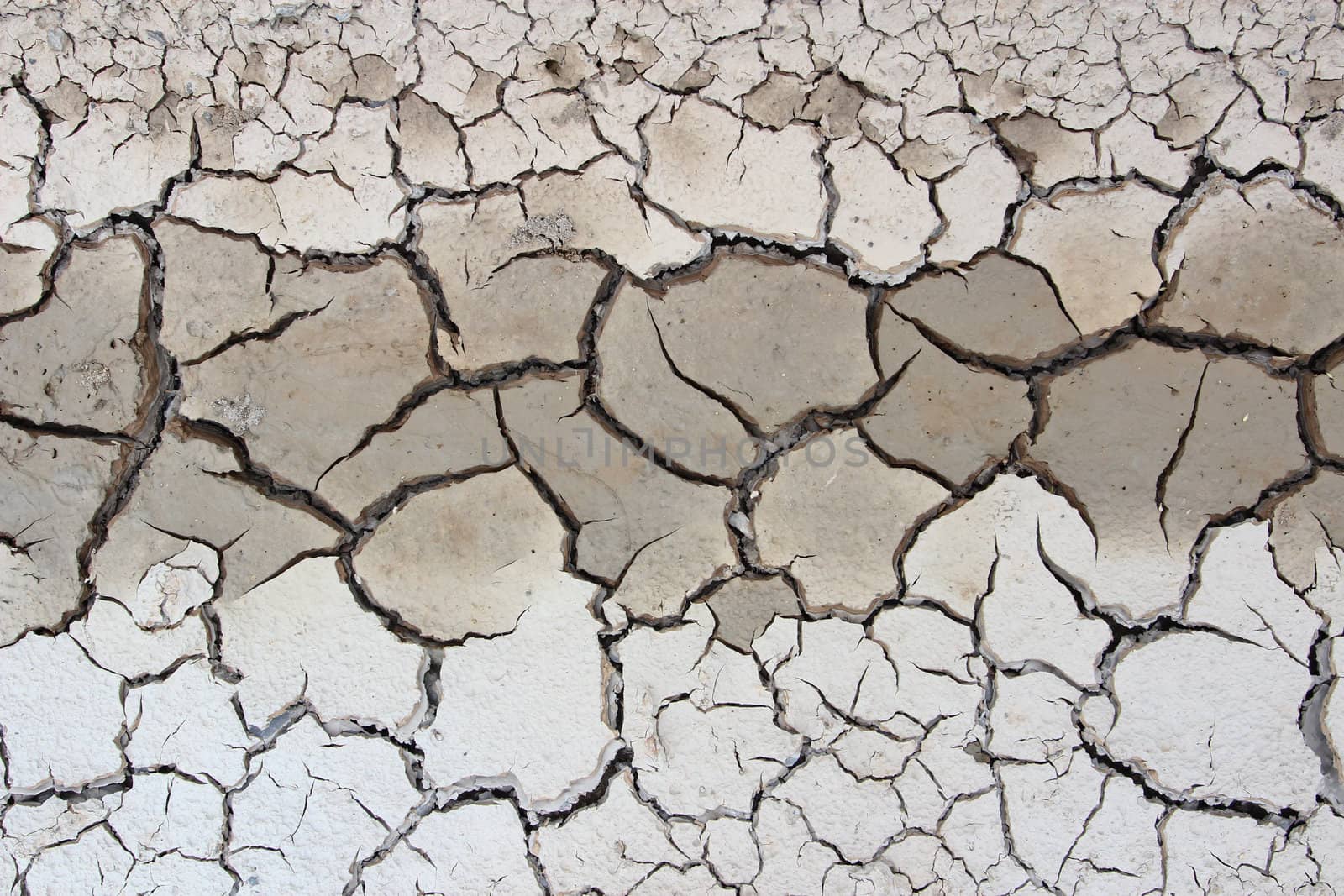Crack soil on dry season, Global worming effect. by bajita111122