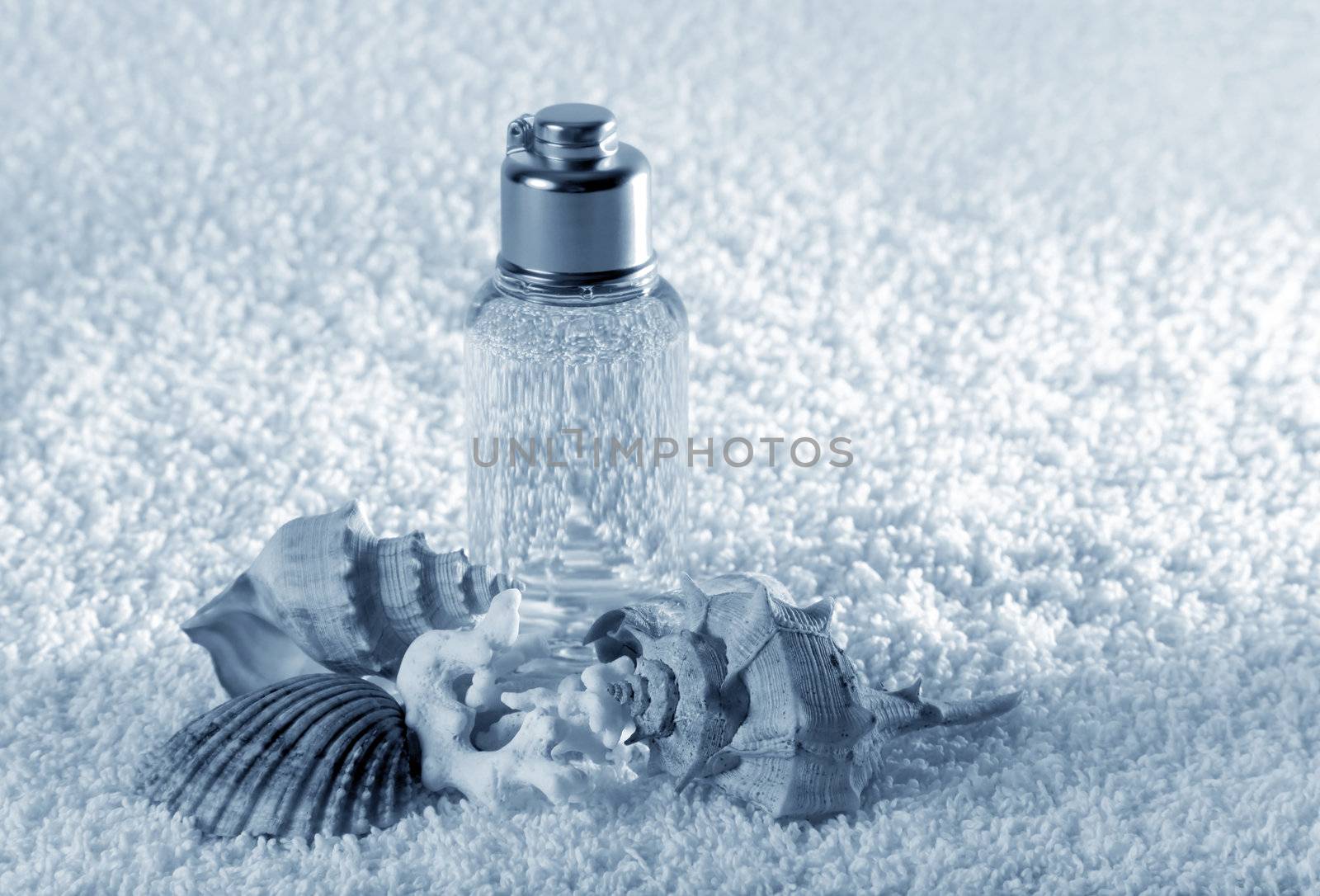Accessories for a bath with cockleshells on a white background