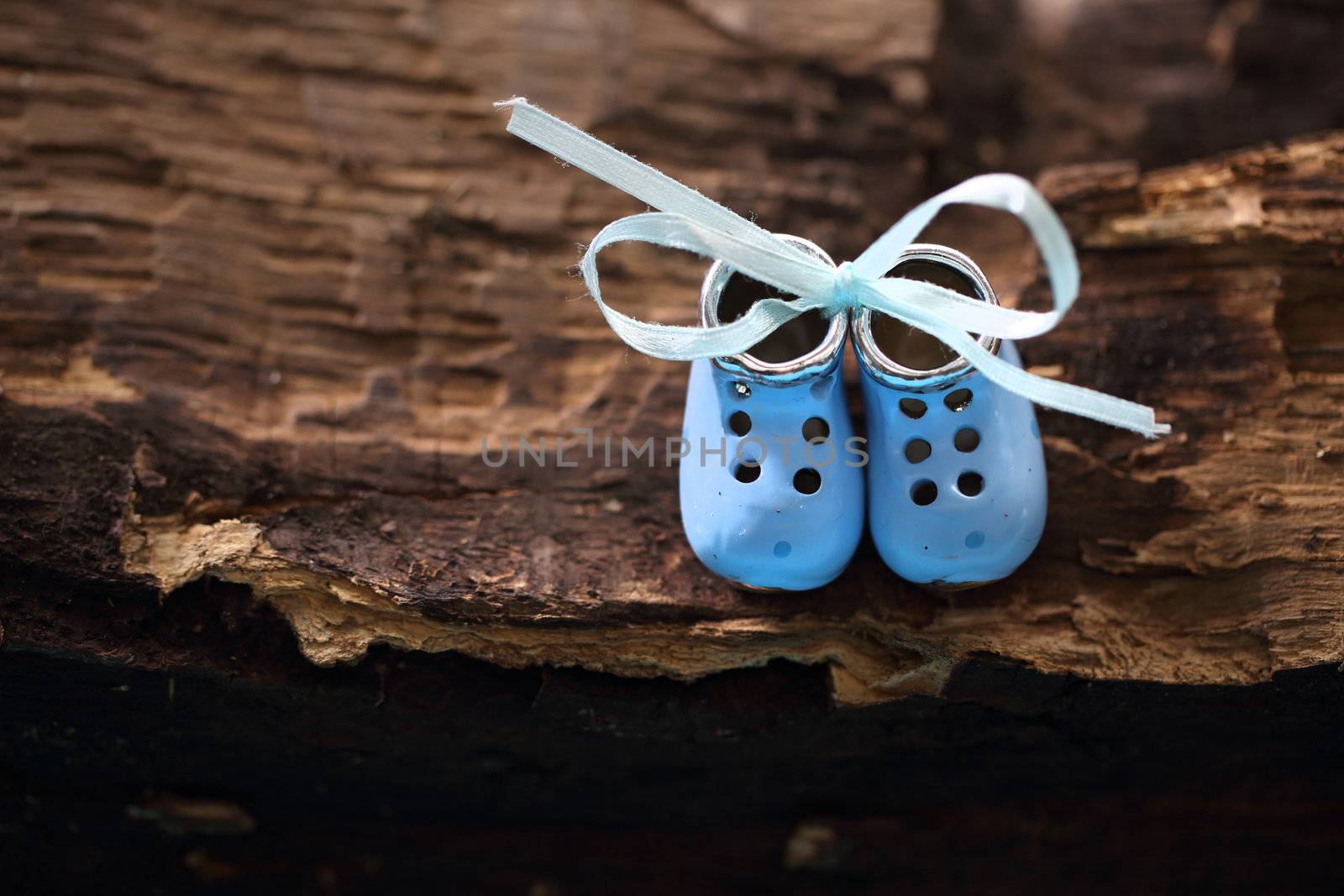 Small shoes on the woody background
