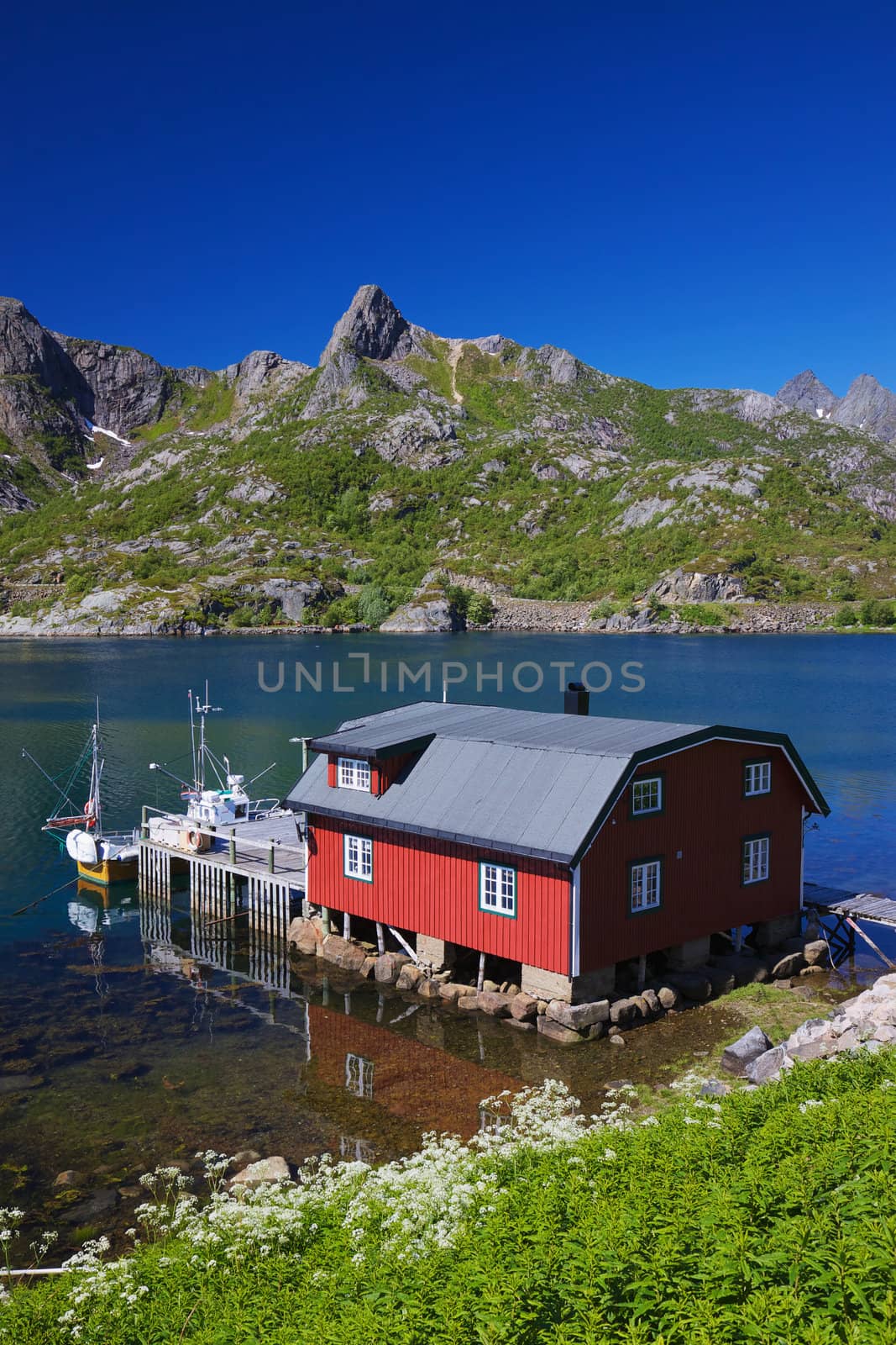 Typical red modern fishing hut in fjord on Lofoten islands in Norway