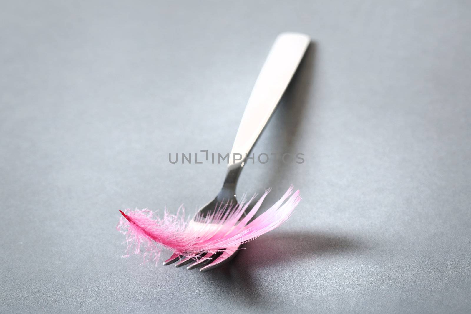 Fork with a bird feather on the grey background