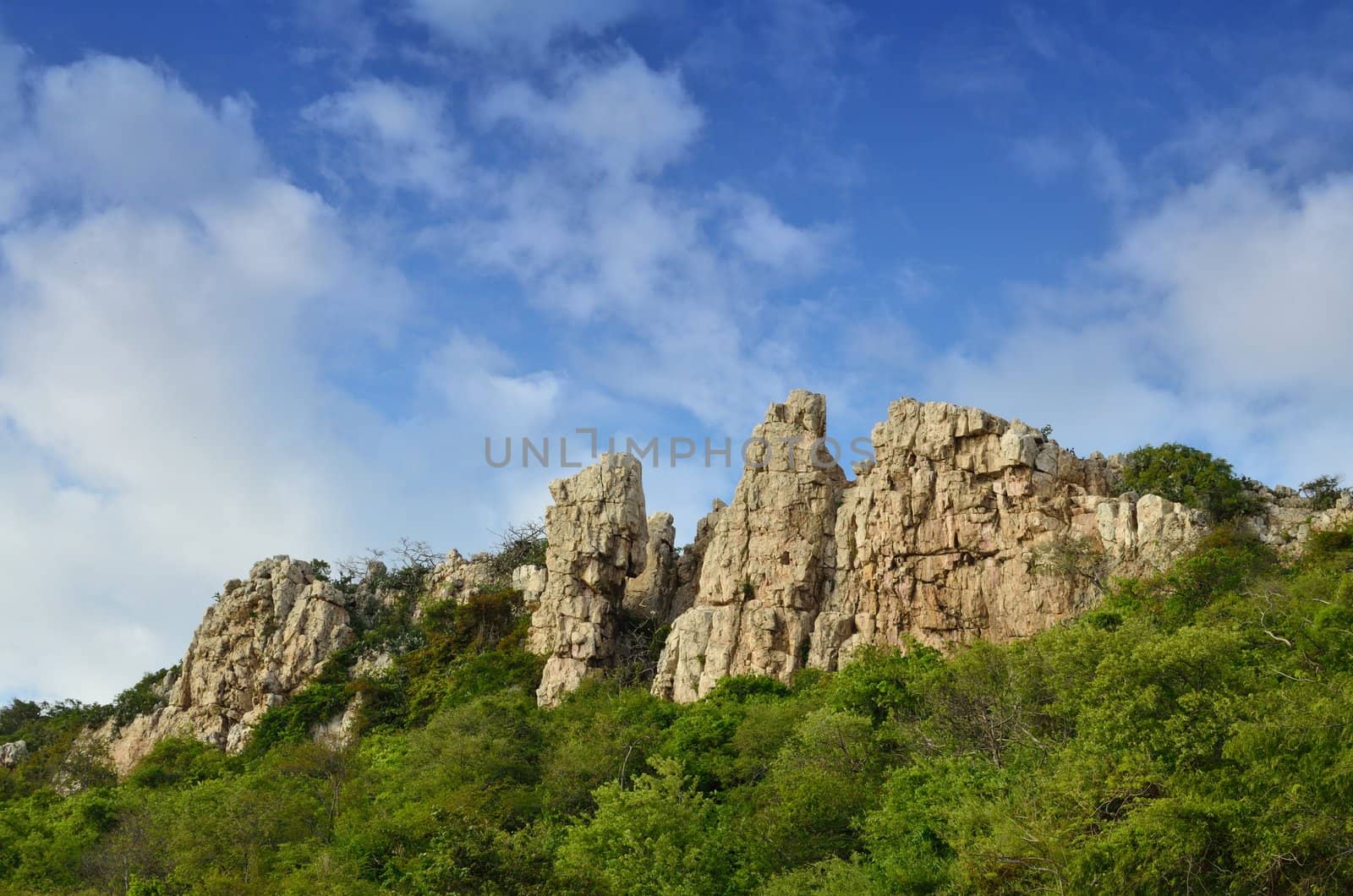 Limestone cliff