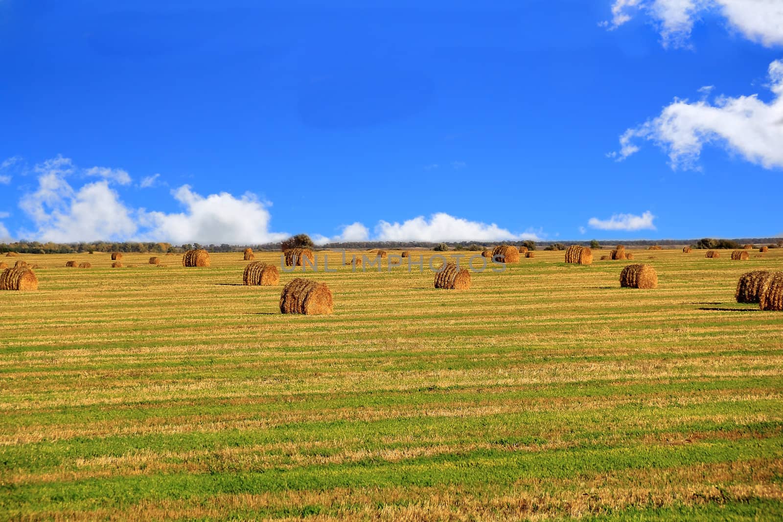 Image of landscape with hay, field and blue sky