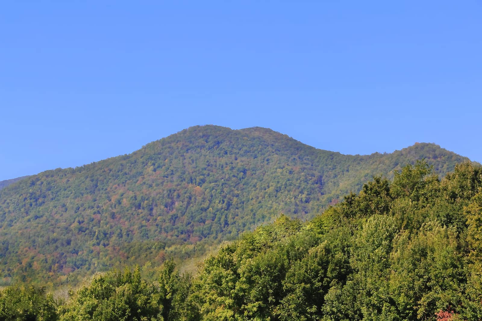 Summer beautiful landscape with Caucasus green mountains