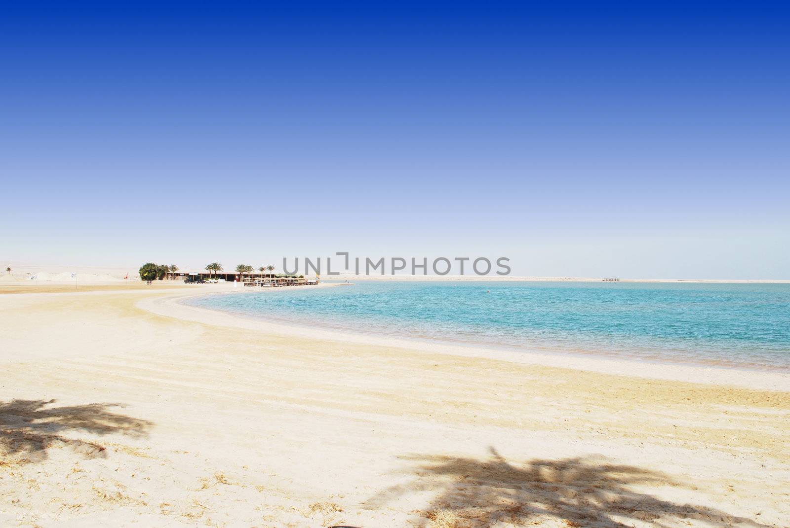 sand beach with sea and palms in Egypt