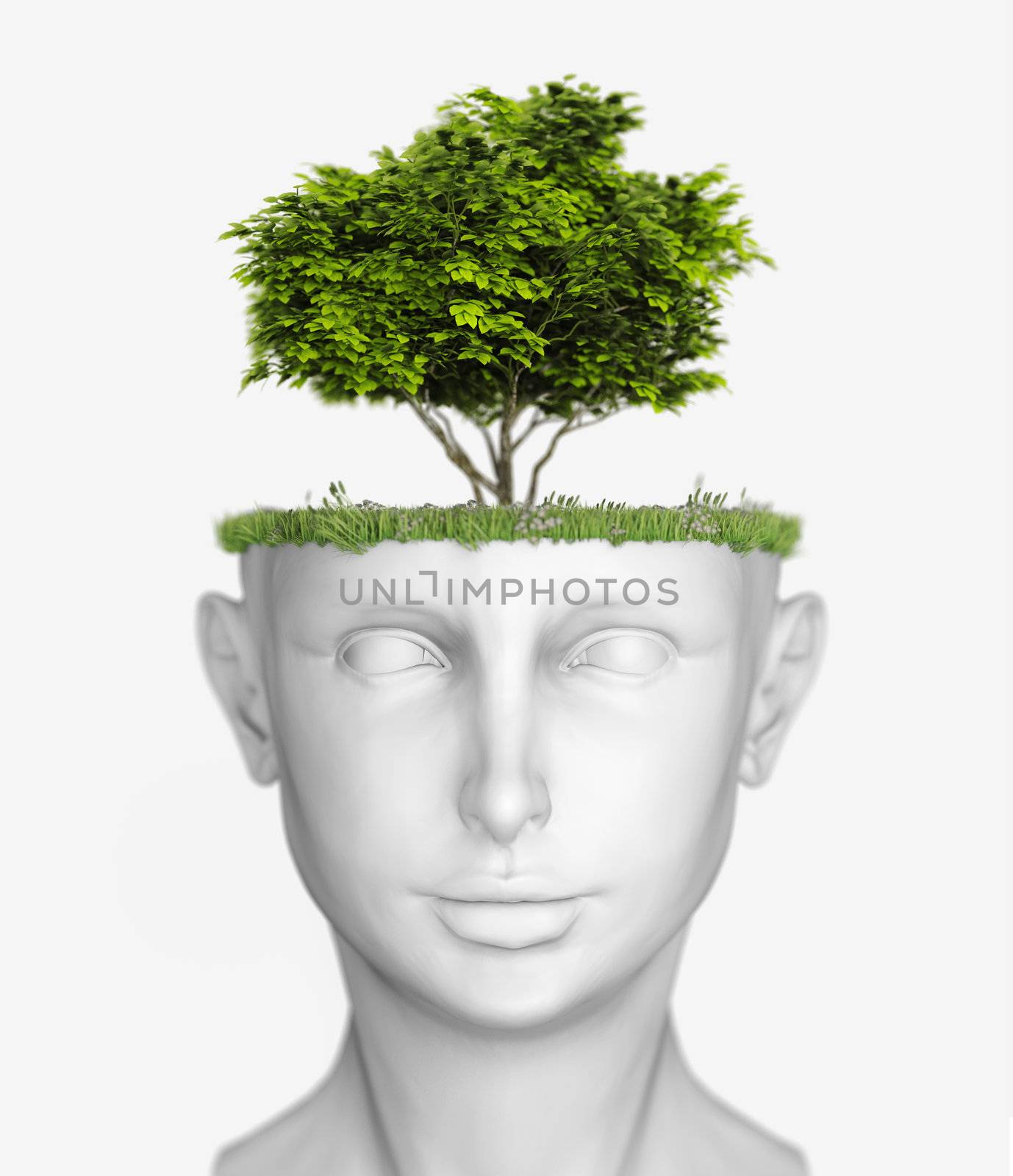 head with tree by vicnt