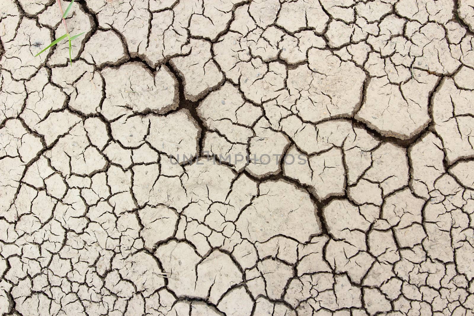 Crack soil on dry season, Global worming effect. by bajita111122