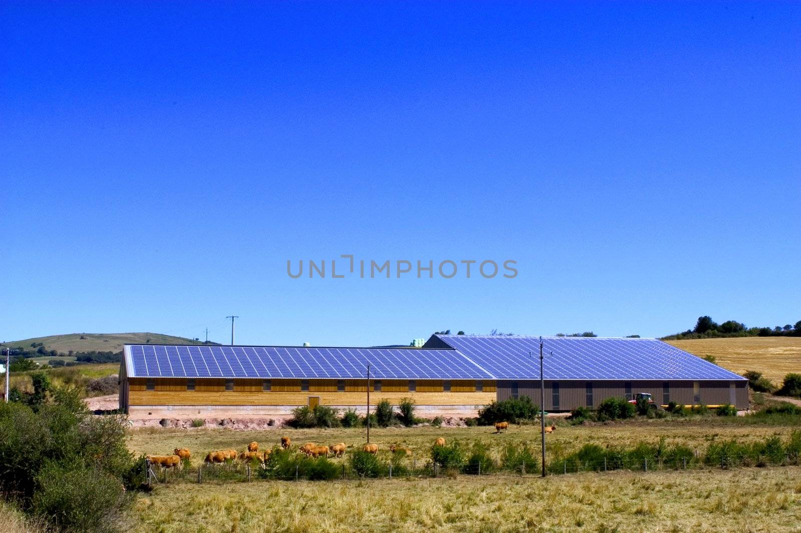 Cattle Sheds Solar Power Sation