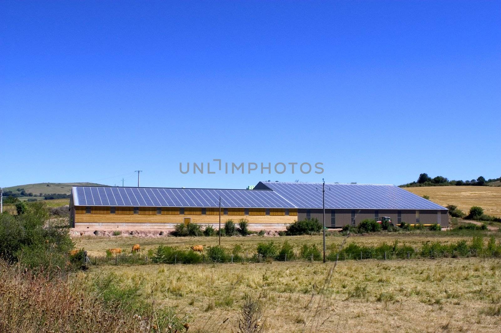 Cattle Sheds Solar Power Sation