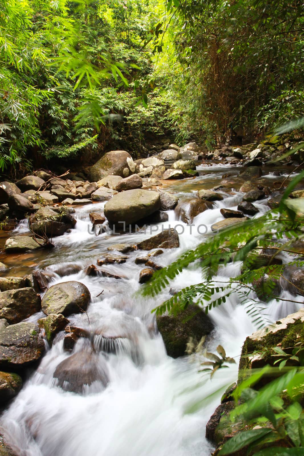 waterfall in national park , Chanthaburi ,Thailand by bajita111122