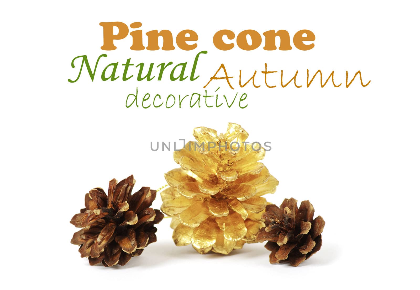 two pine cones and one golden cone over white background with shadow