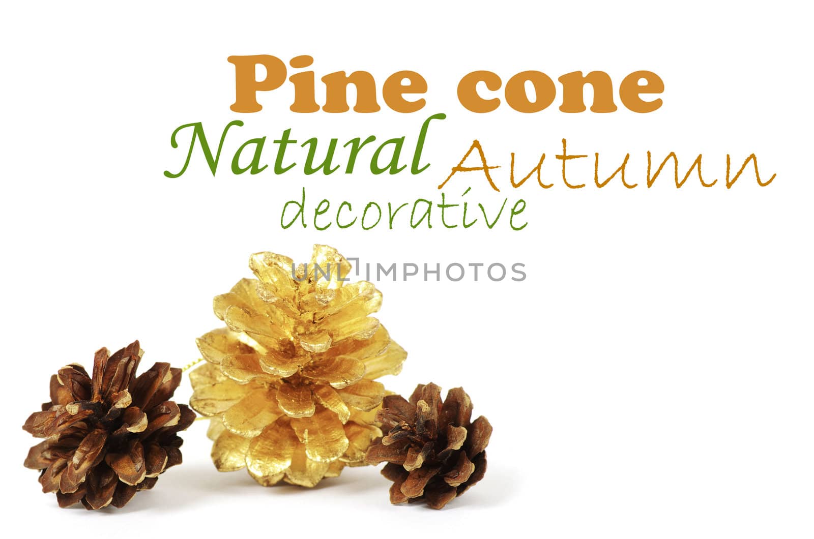 two pine cones and one golden cone over white background with shadow