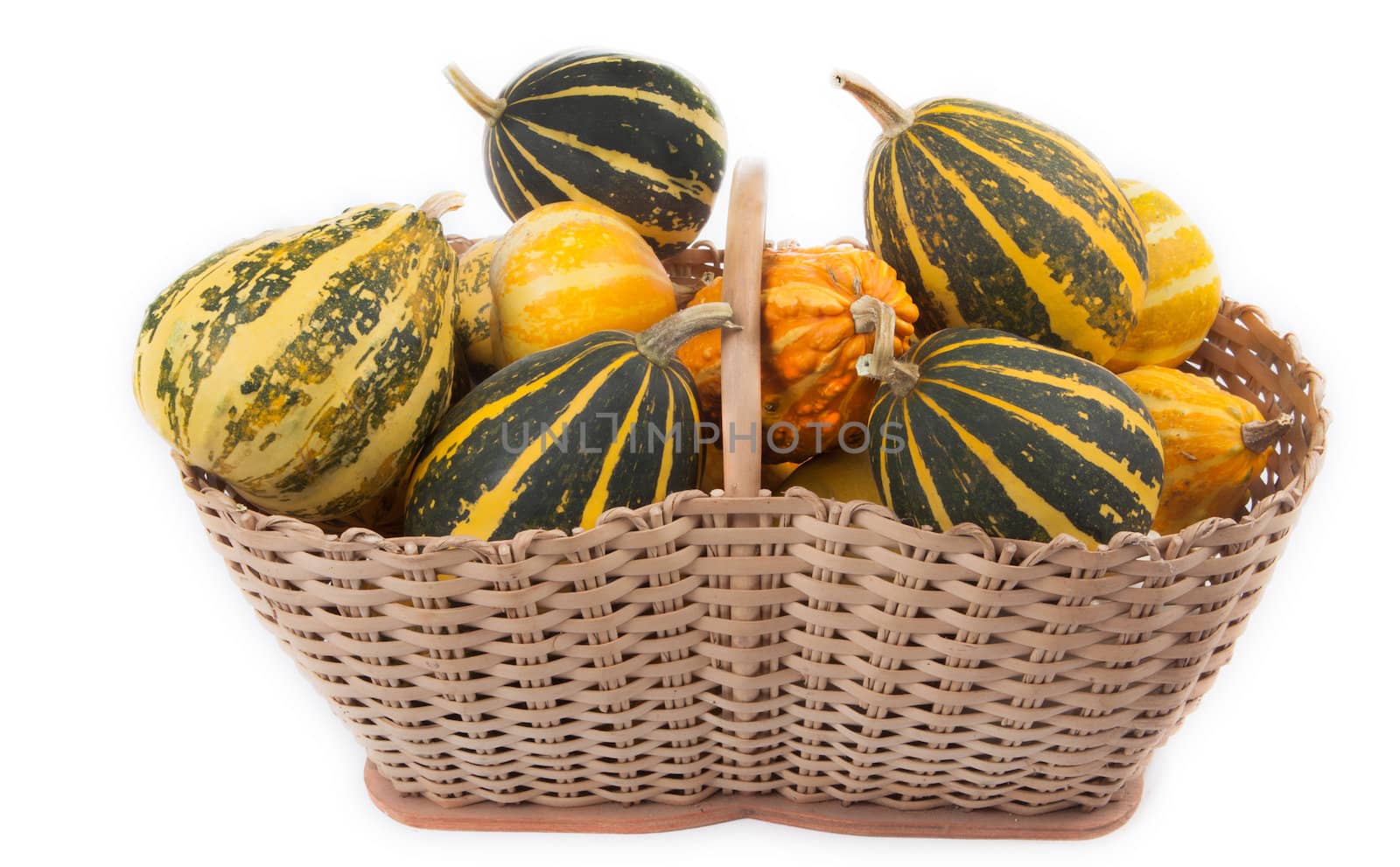 Beautiful smal decorative pumpkins in a basket.