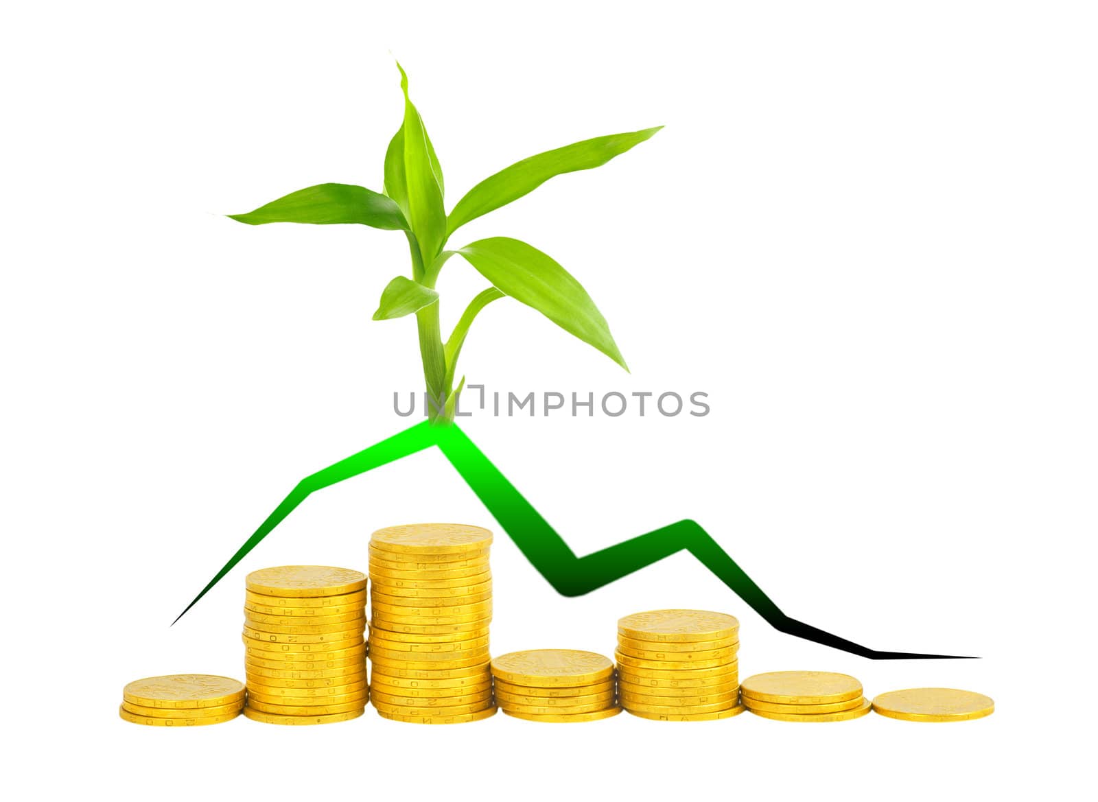 gold coins and plant isolated on white