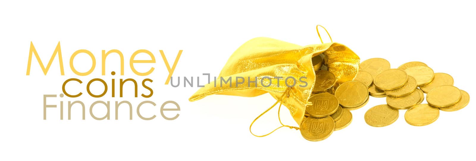Money coins in golden bag isolated on white