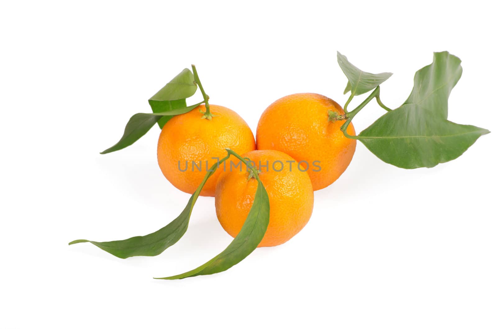 Tangerines with green leaves isolated on white