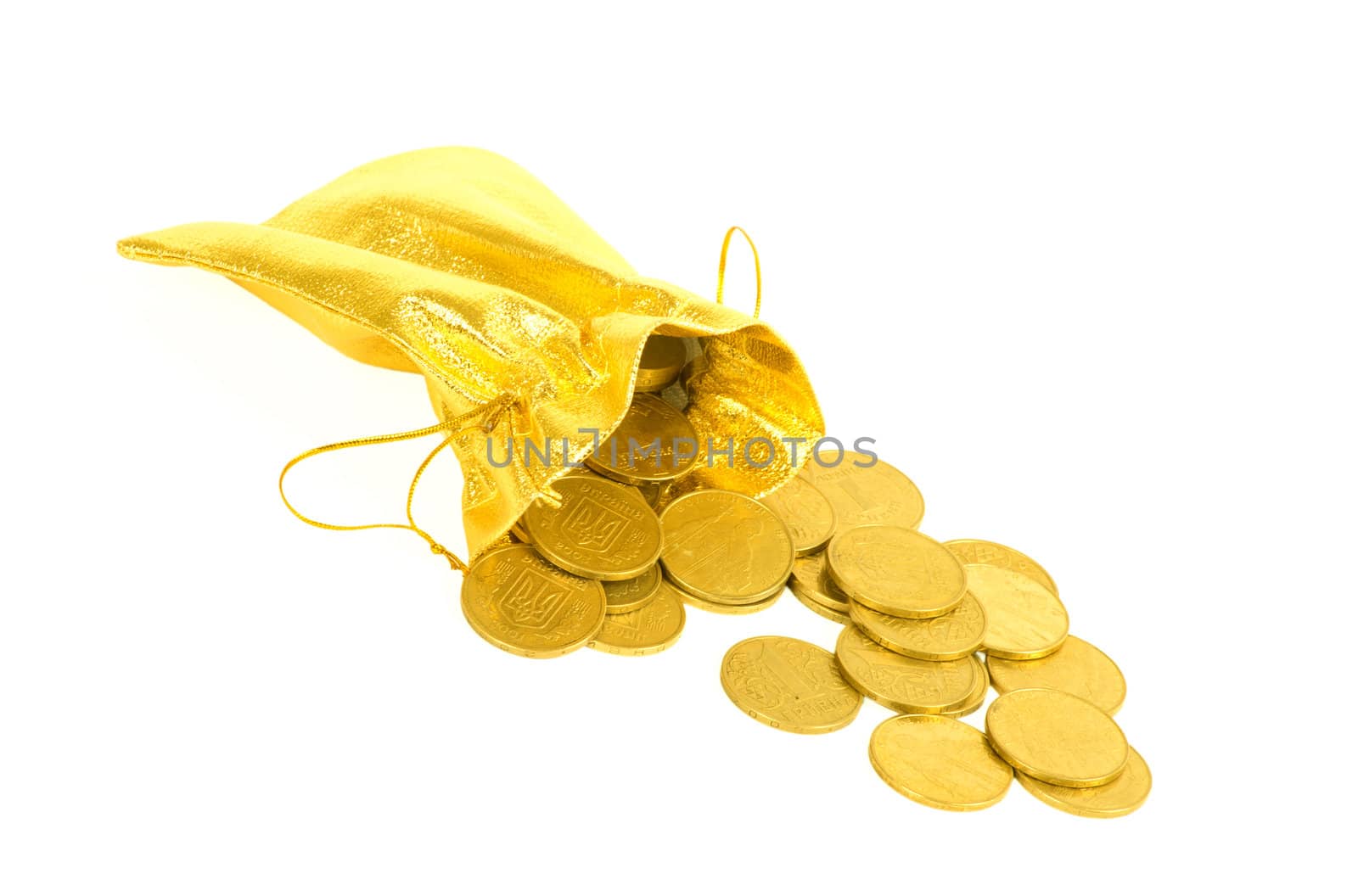 Money coins in golden bag isolated on white