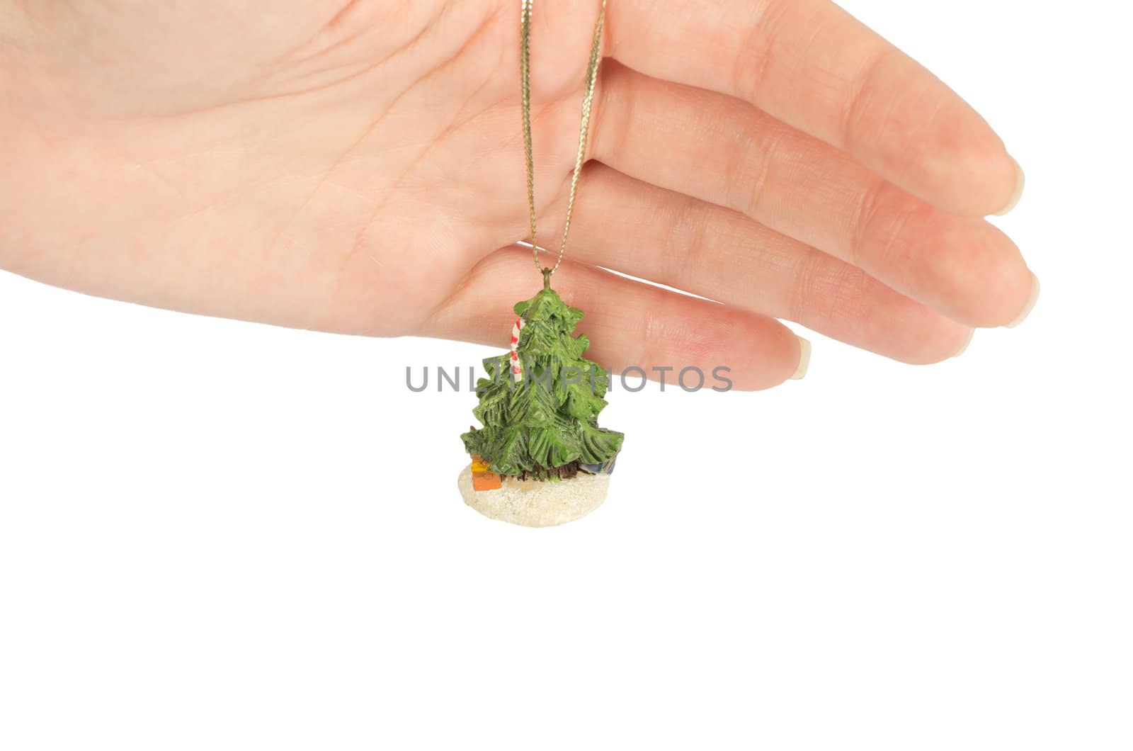 Christmas tree in hand isolated on white background