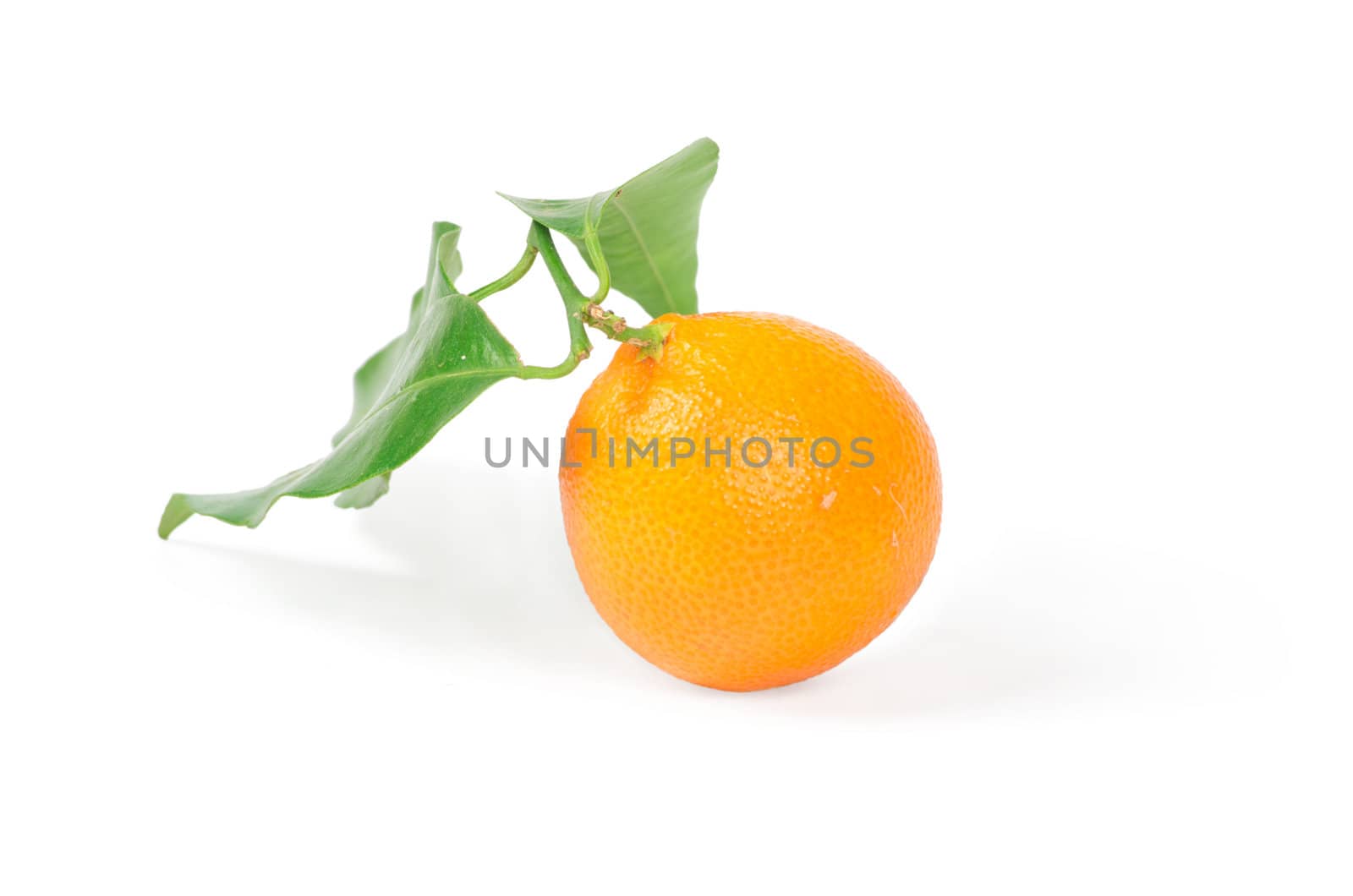 Tangerine with green leaves isolated on white