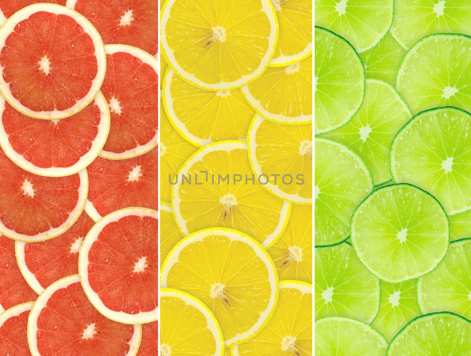 Abstract background of citrus slices. Closeup. Studio photography.