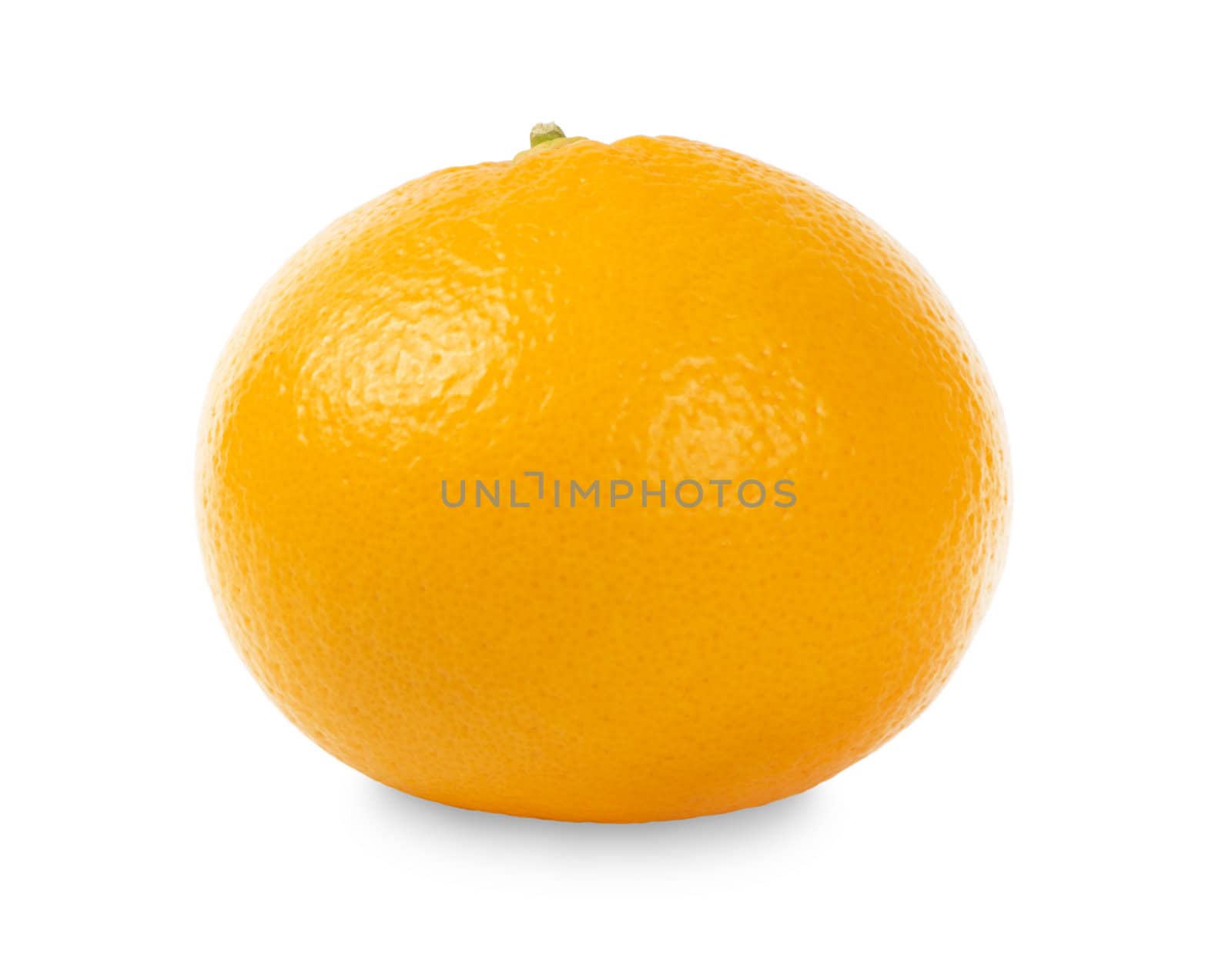 Orange isolated on white background