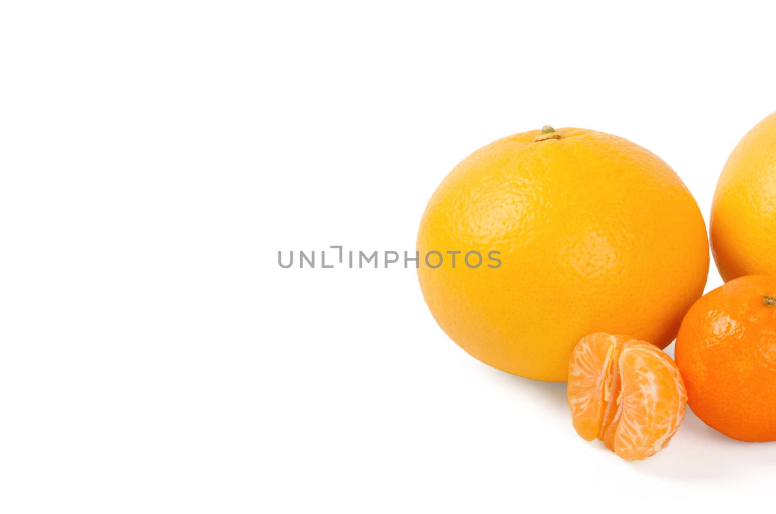 Fresh citrus fruit on a white background
