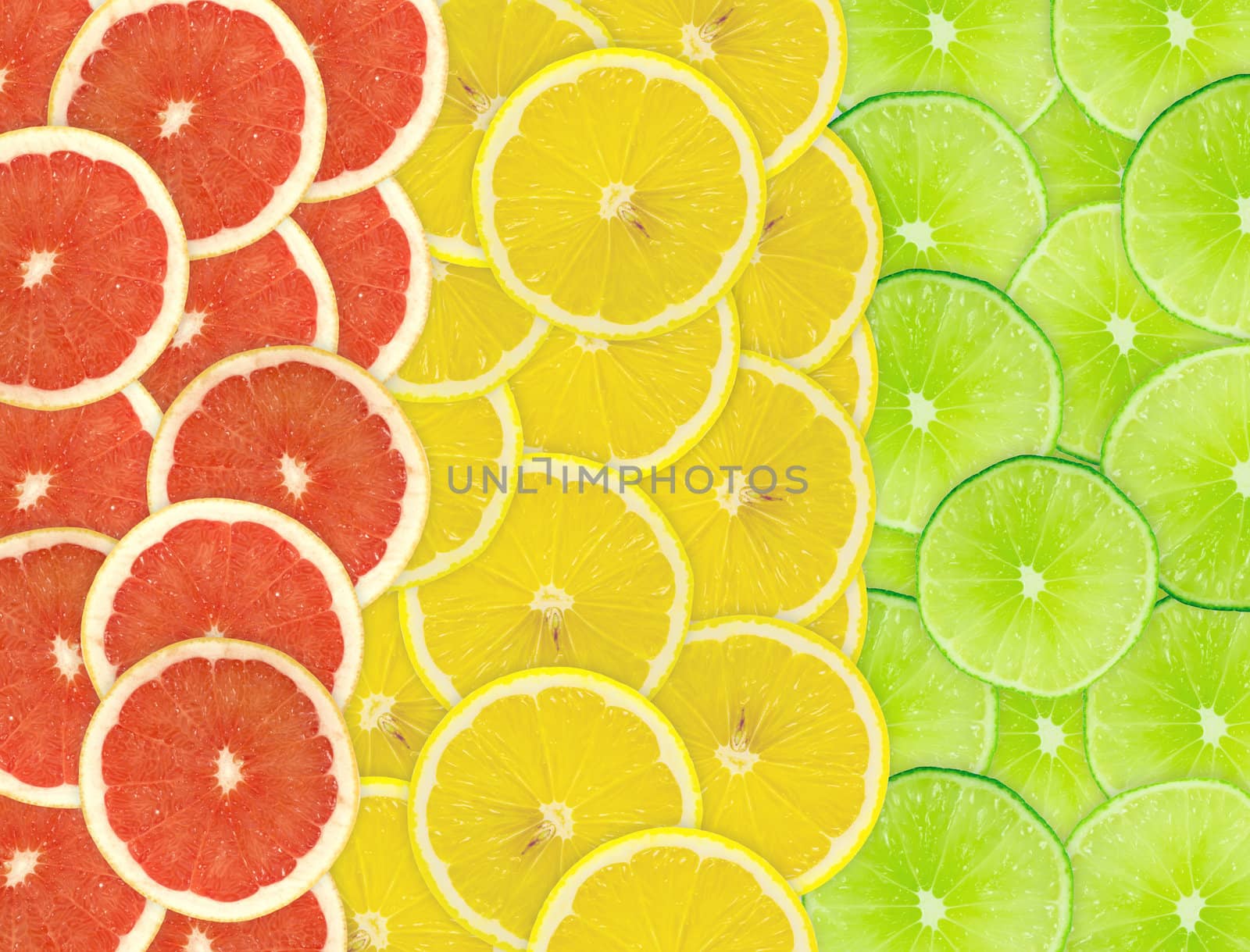 Abstract background of citrus slices. Closeup. Studio photography.