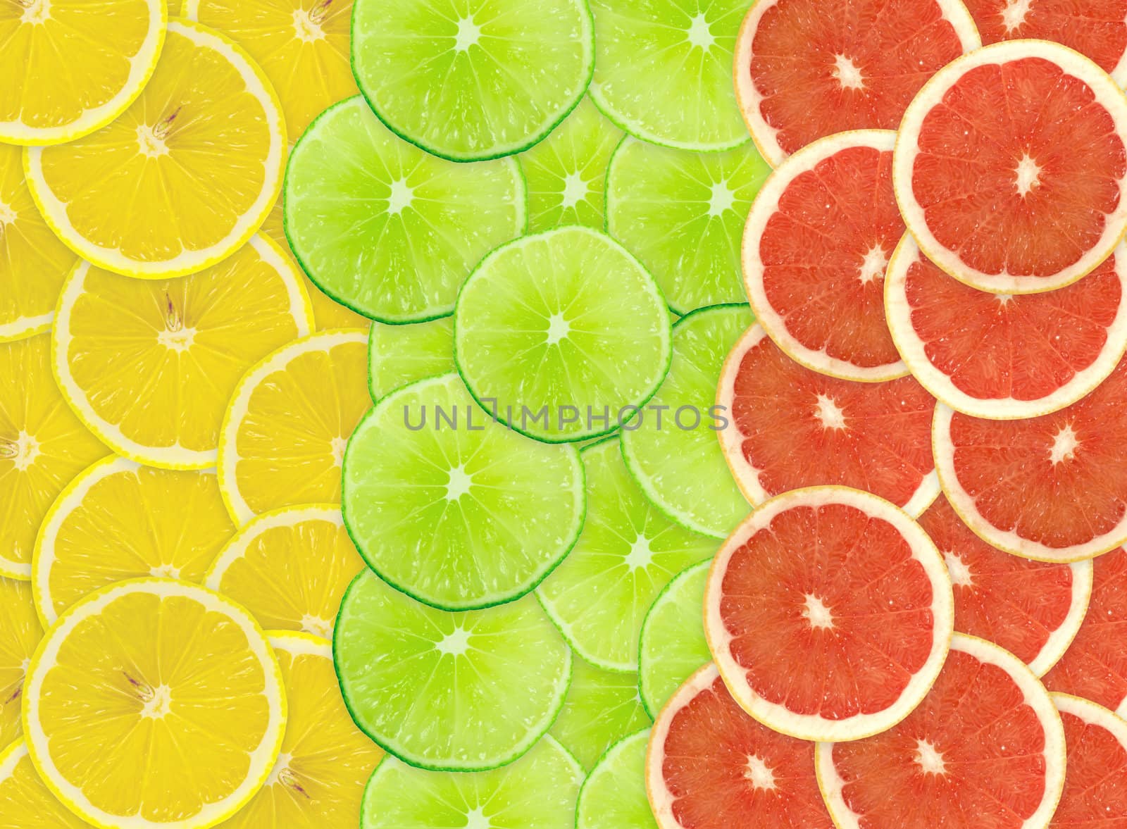 Abstract background of citrus slices. Closeup. Studio photography.