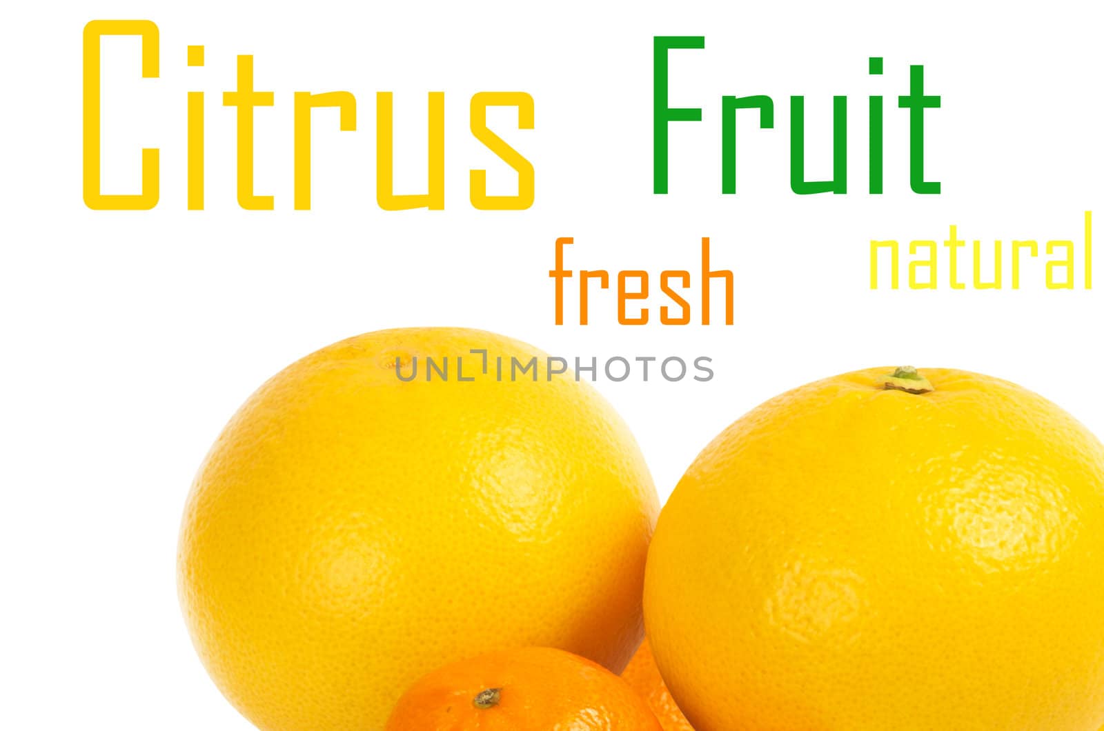 Citrus fruit on a white background
