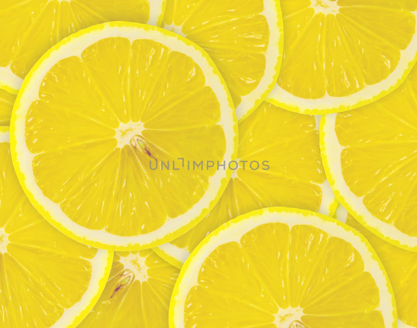 Abstract background with citrus-fruit of lemon slices. Close-up. Studio photography.