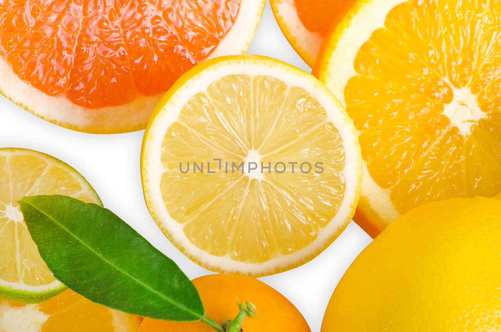 Mix of citrus slice isolated on white