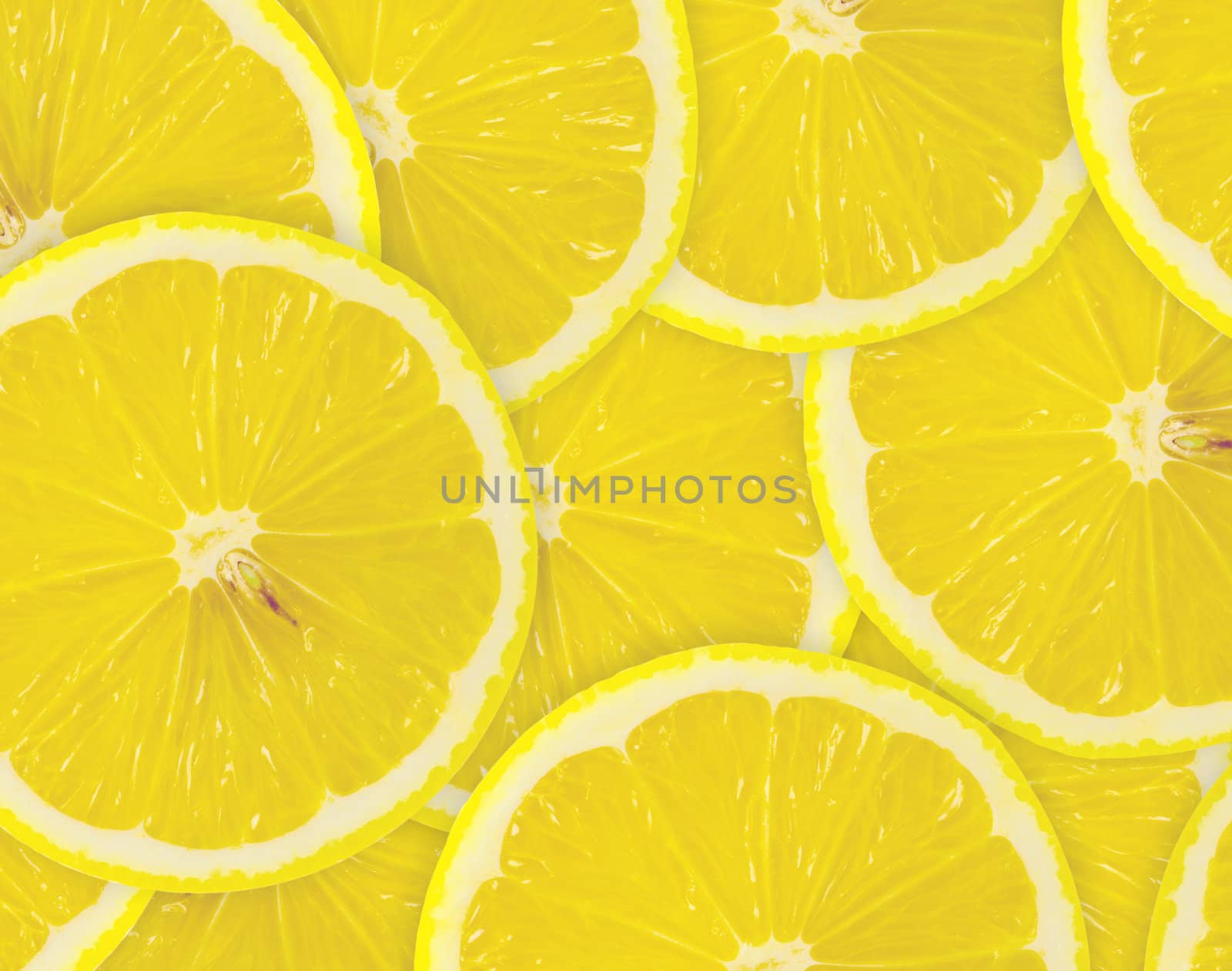 Abstract background with citrus-fruit of lemon slices. Close-up. Studio photography.