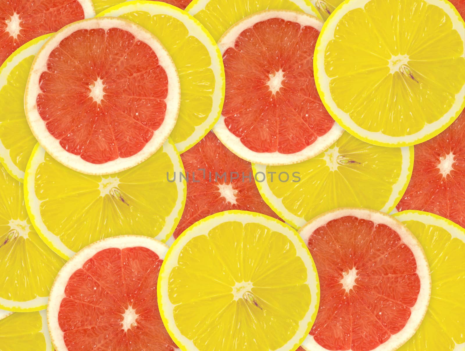 Abstract background of citrus slices. Closeup. Studio photography.