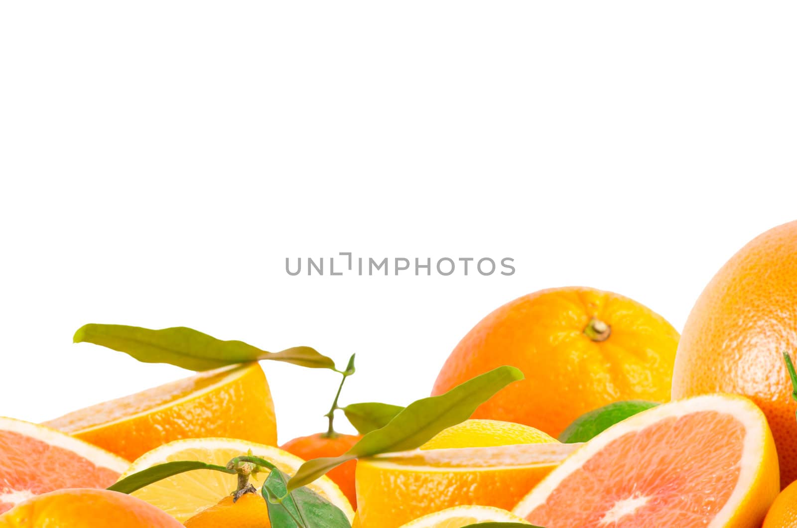 Fruits citrus on white