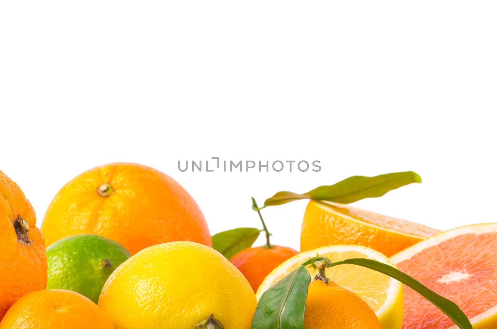 Fruits citrus on white